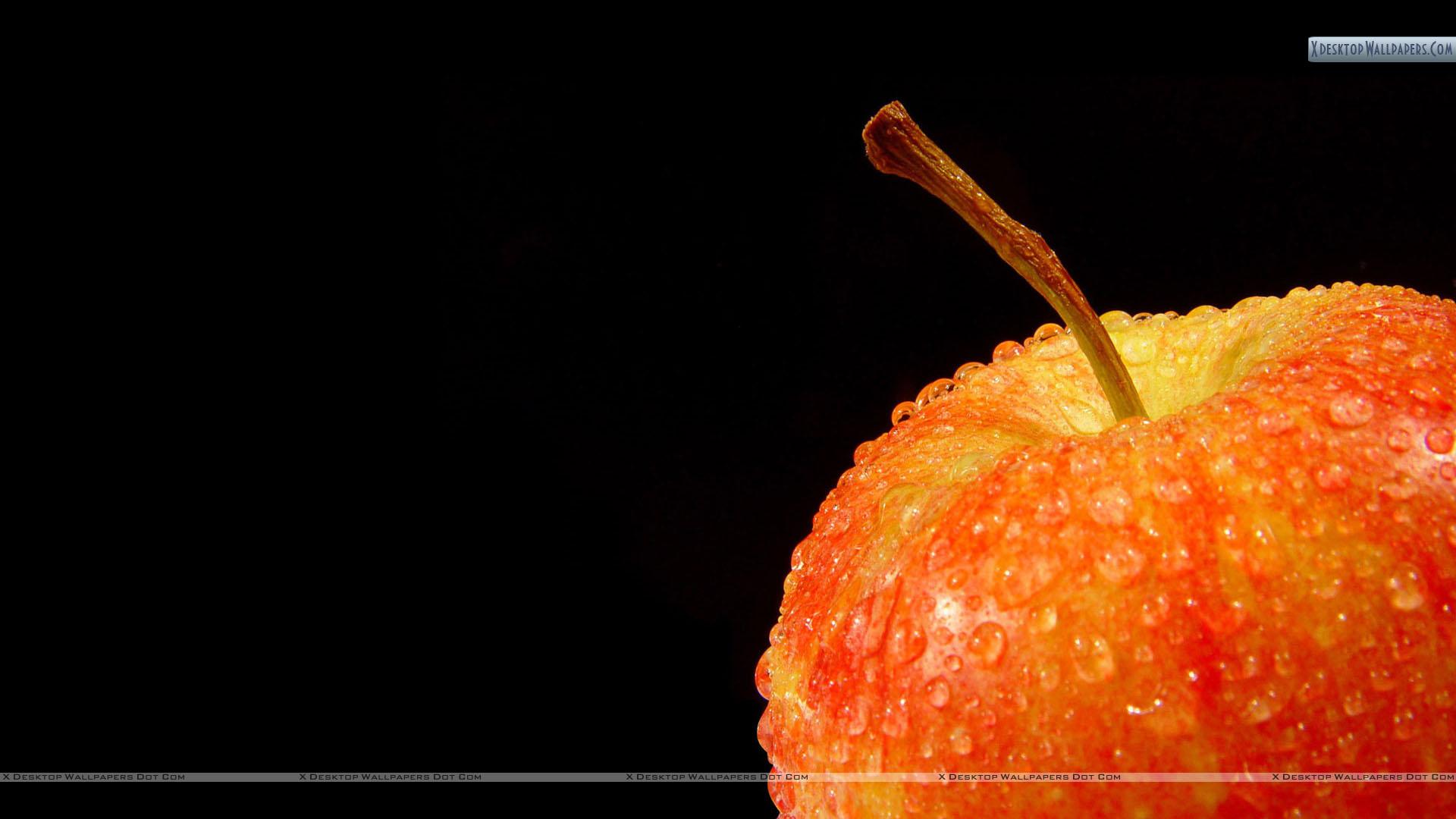 Eat Wallpapers Wallpaper Cave