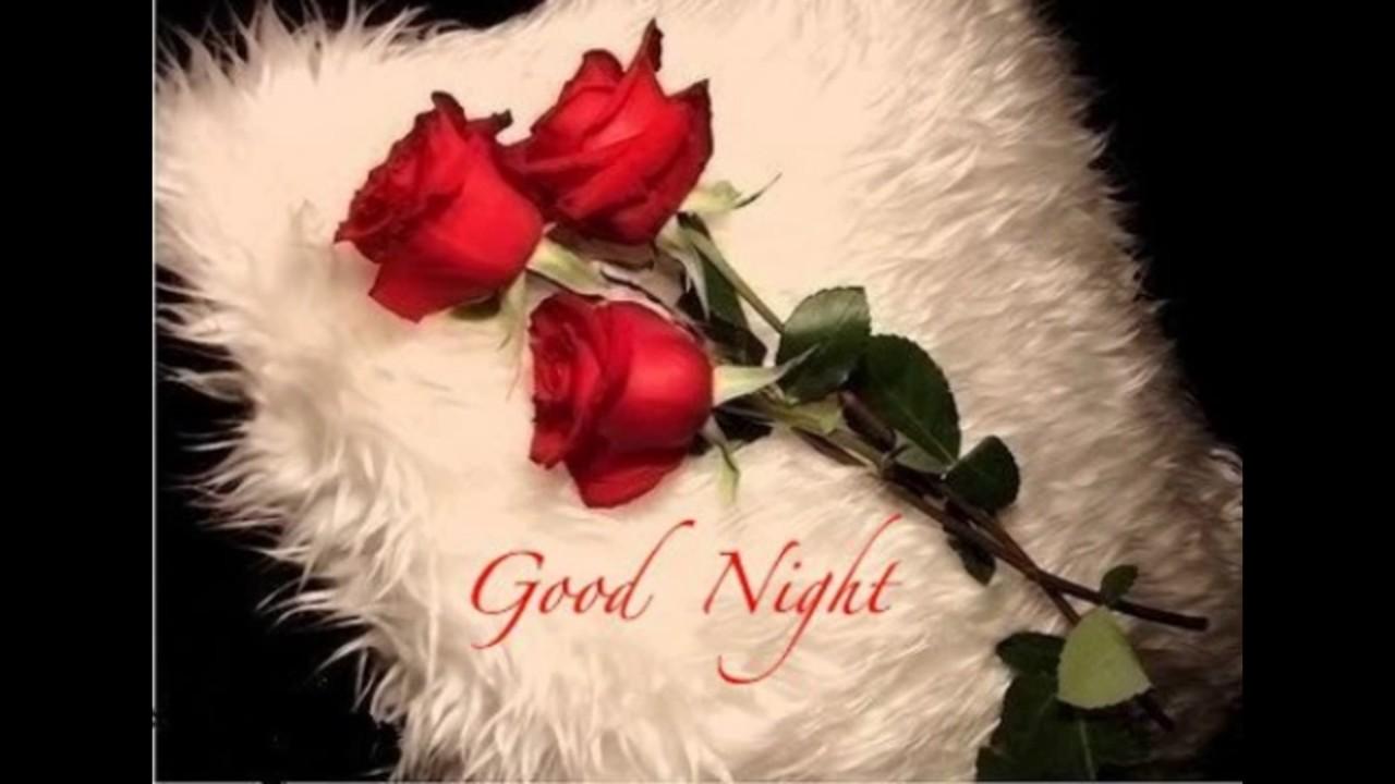 Rose Good Night Wallpapers Wallpaper Cave