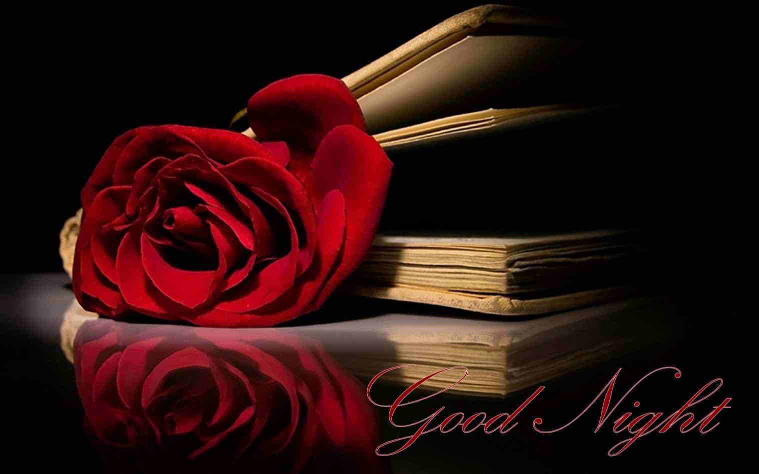 Rose Good Night Wallpapers Wallpaper Cave
