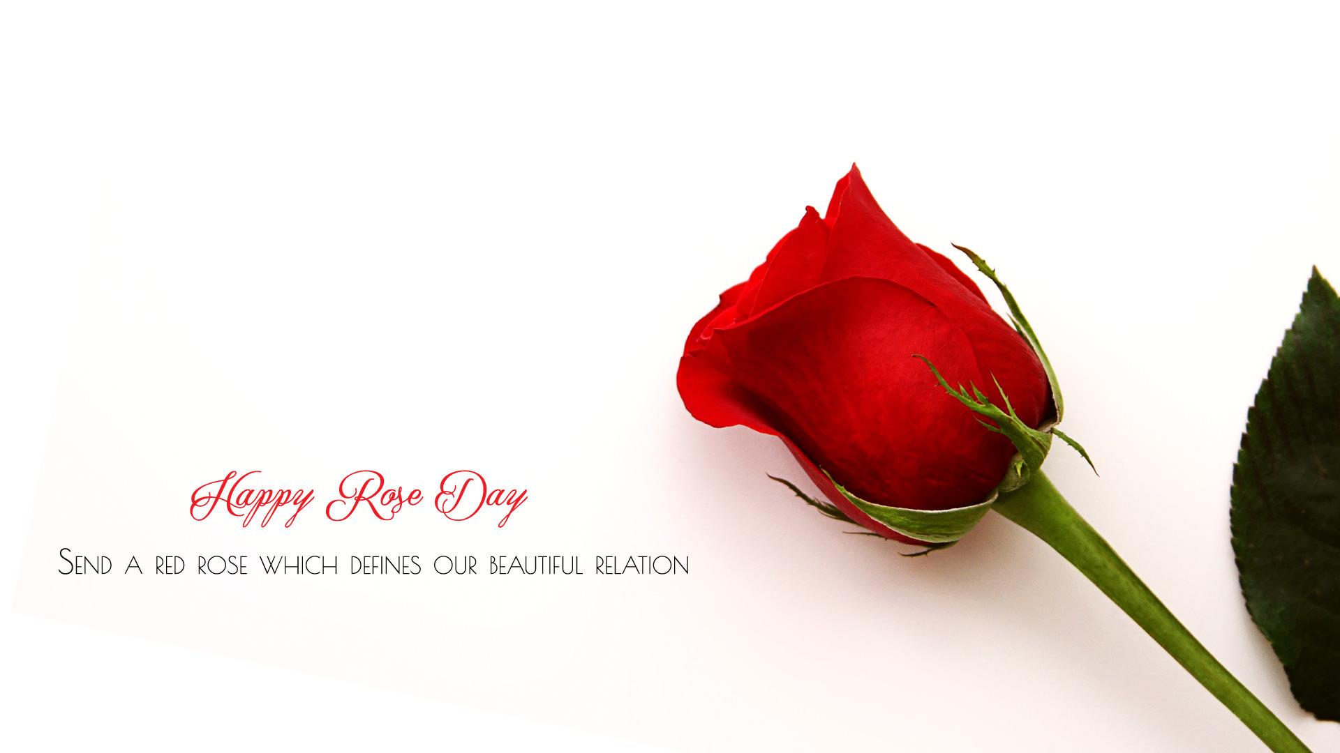 Rose Day Wallpapers Wallpaper Cave