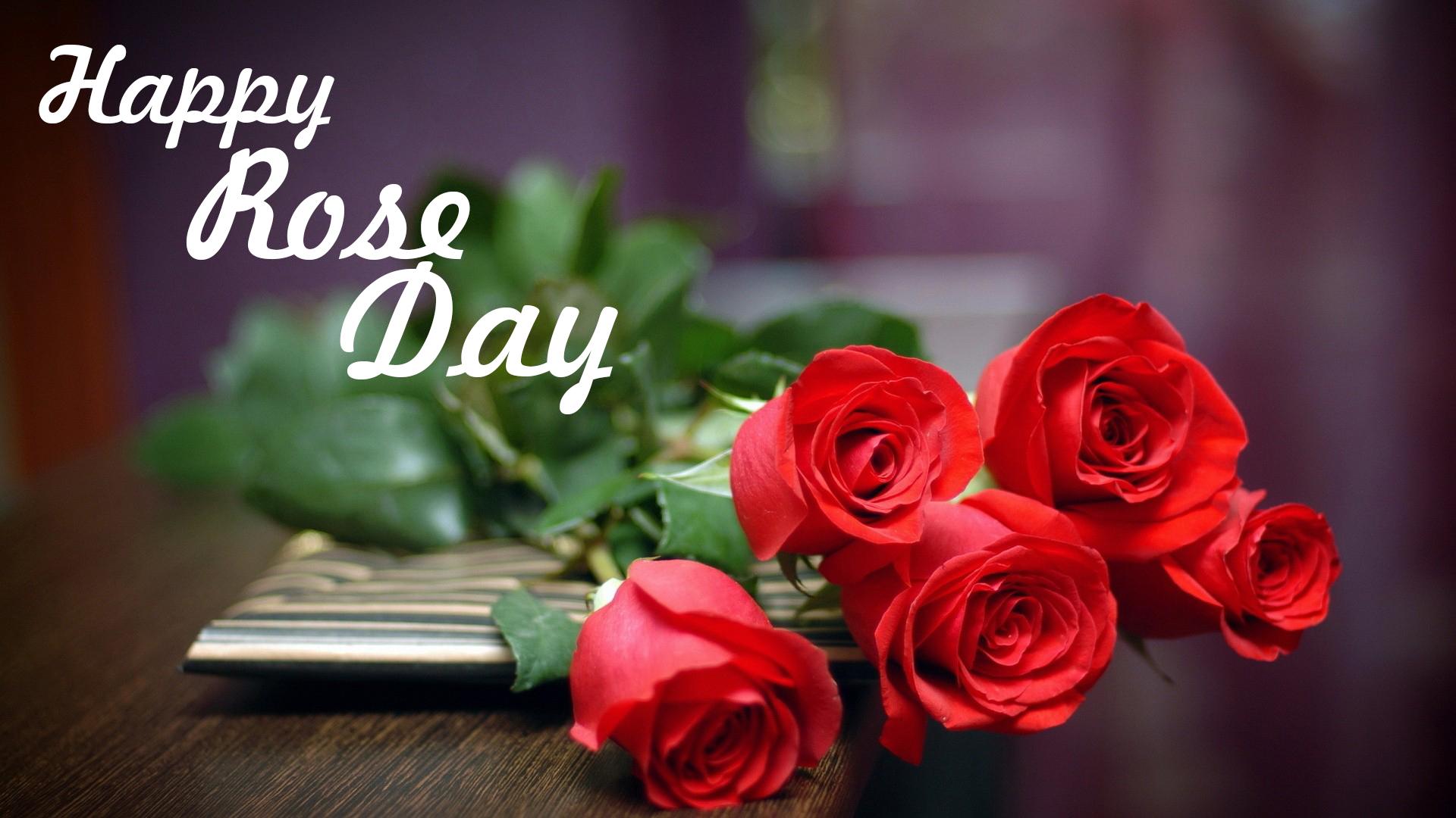 Rose Day Wallpapers Wallpaper Cave
