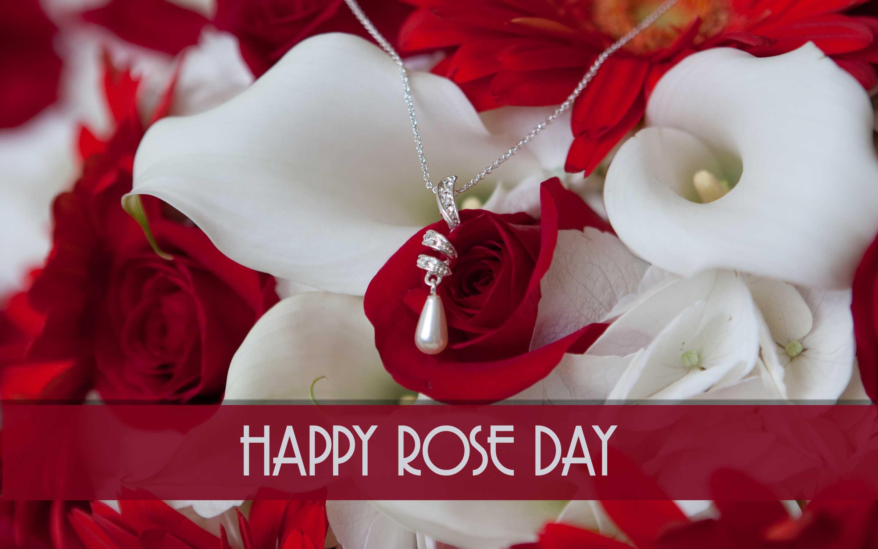 Rose Day Wallpapers Wallpaper Cave