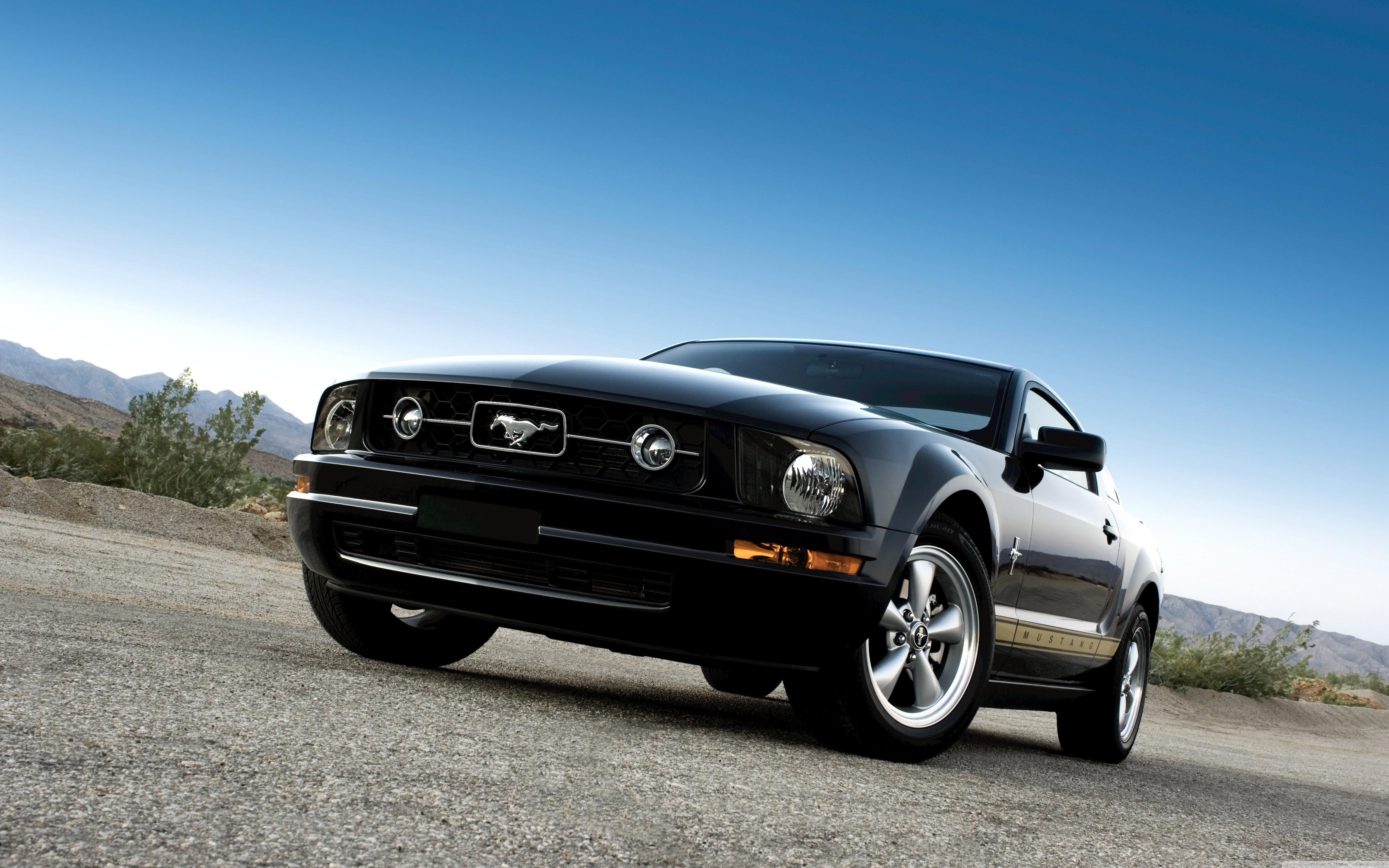 Black Mustang Wallpapers Wallpaper Cave