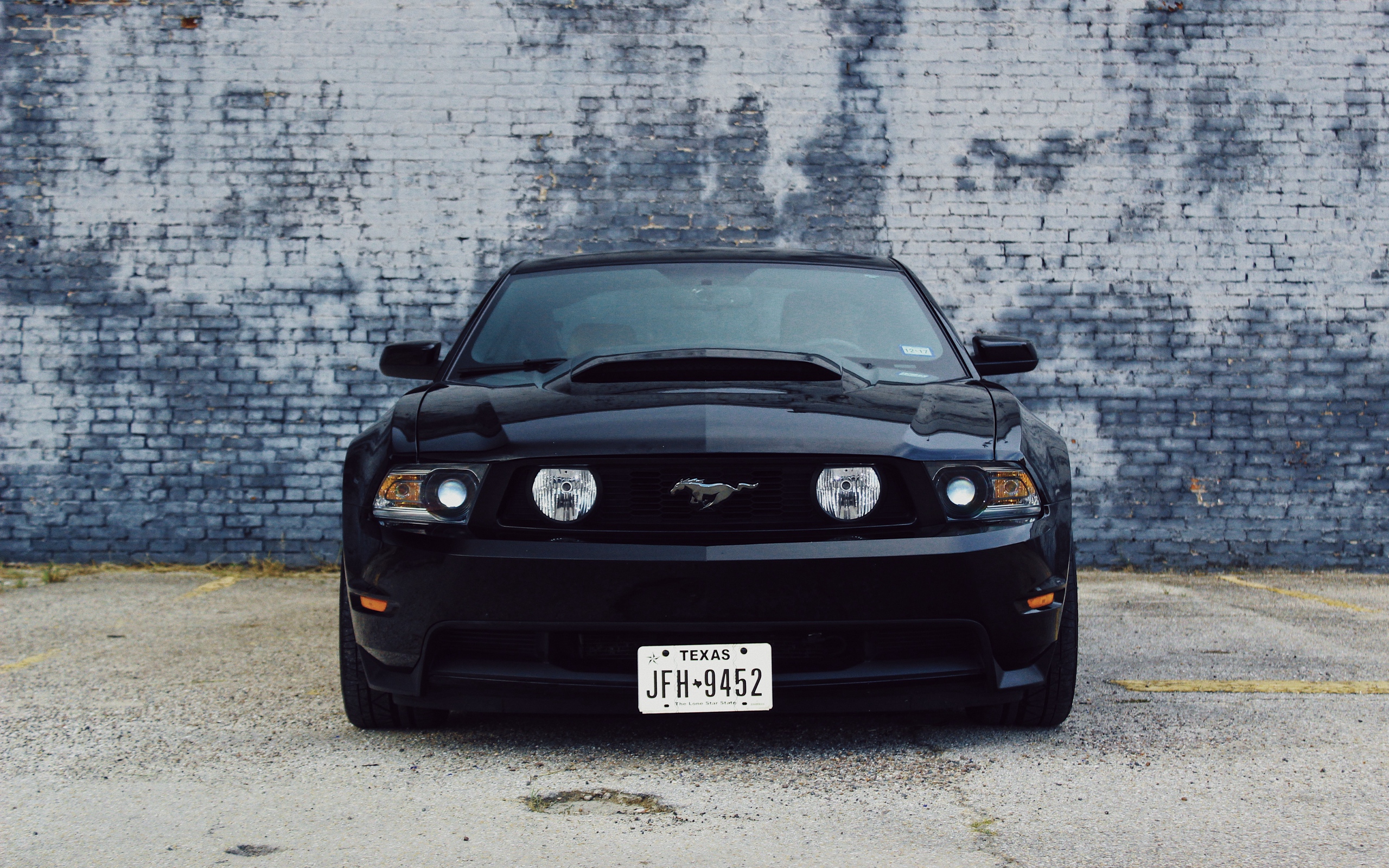Black Mustang Wallpapers Wallpaper Cave