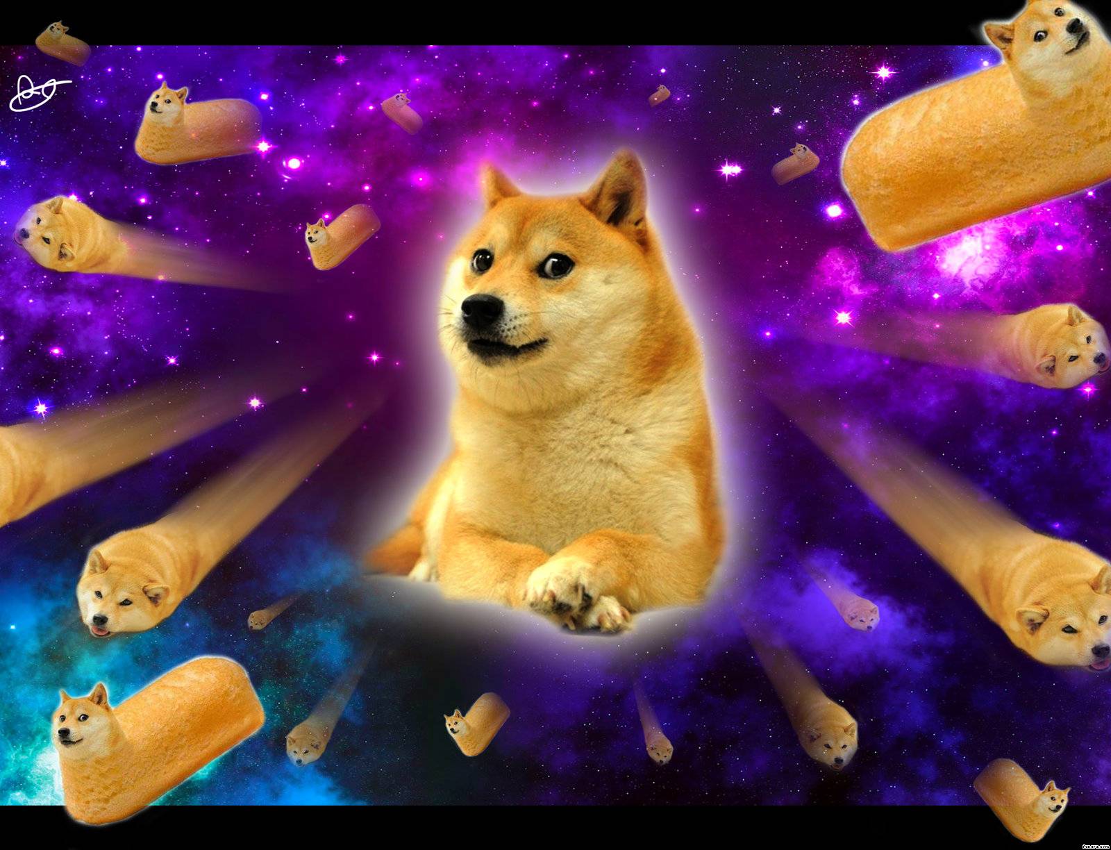 Galaxy Dog Wallpapers Wallpaper Cave
