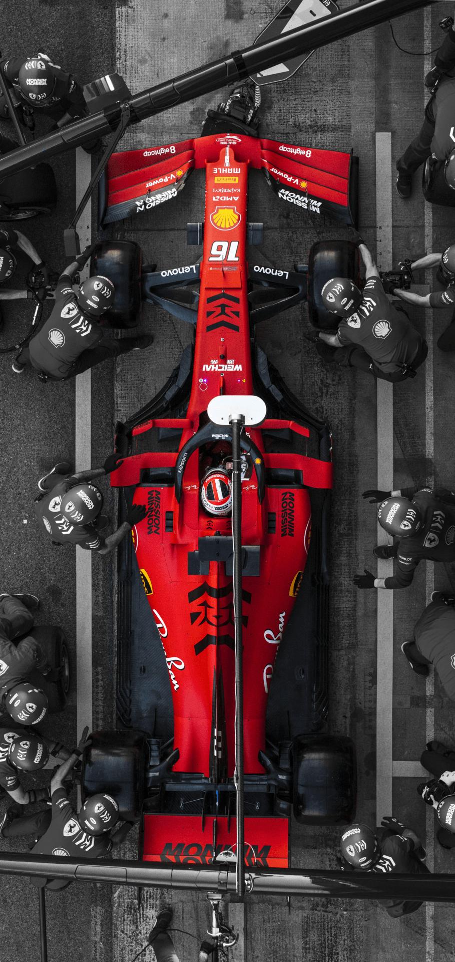 Charles Leclerc Wallpapers Wallpaper Cave
