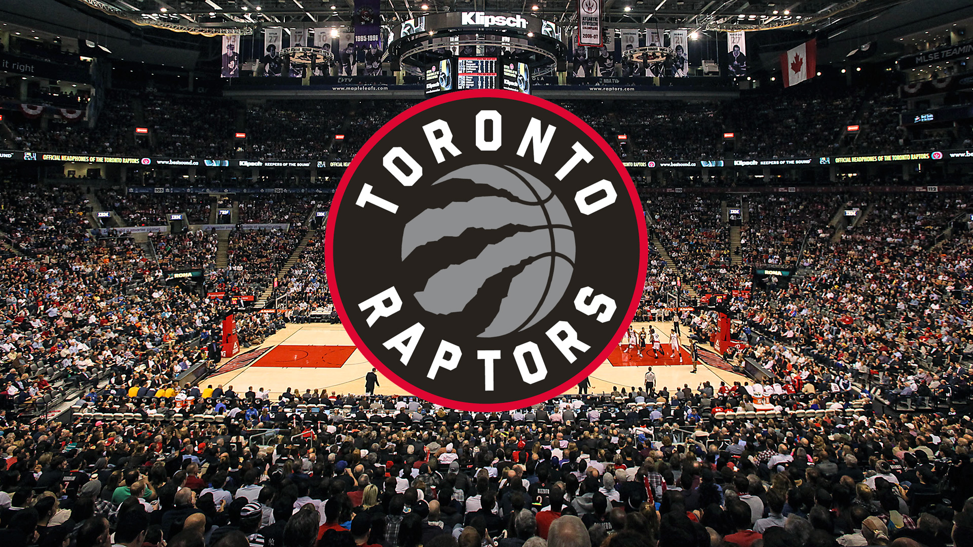 Toronto Raptors NBA Champions Wallpapers Wallpaper Cave