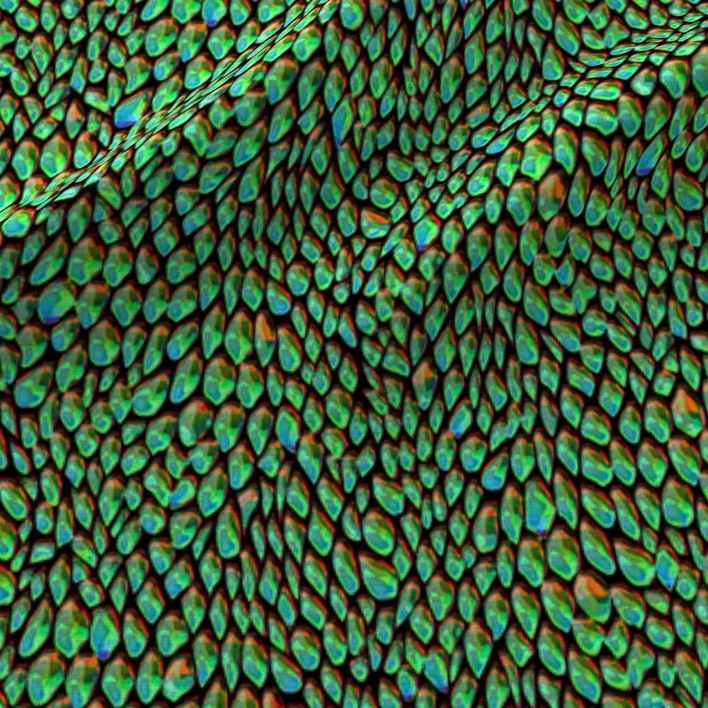 Dragon Scales Wallpapers Wallpaper Cave