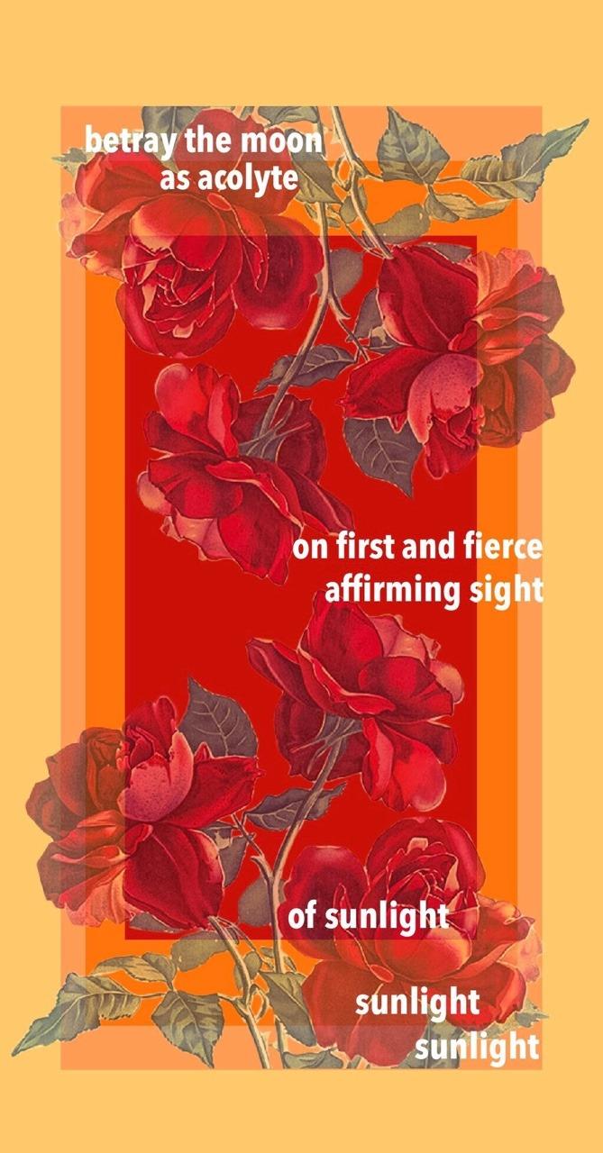 Hozier Almost (Sweet Music) Wallpapers Wallpaper Cave