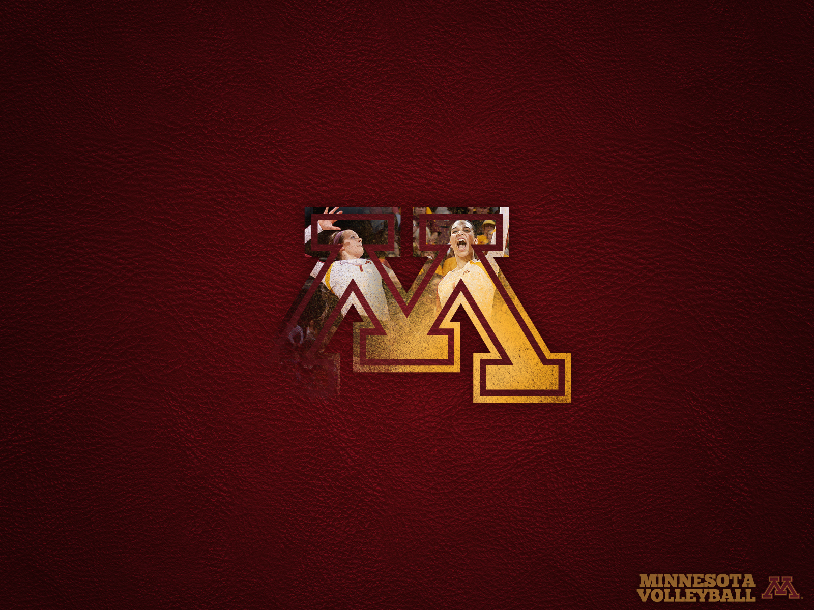 Minnesota Golden Gophers Football Wallpapers Wallpaper Cave