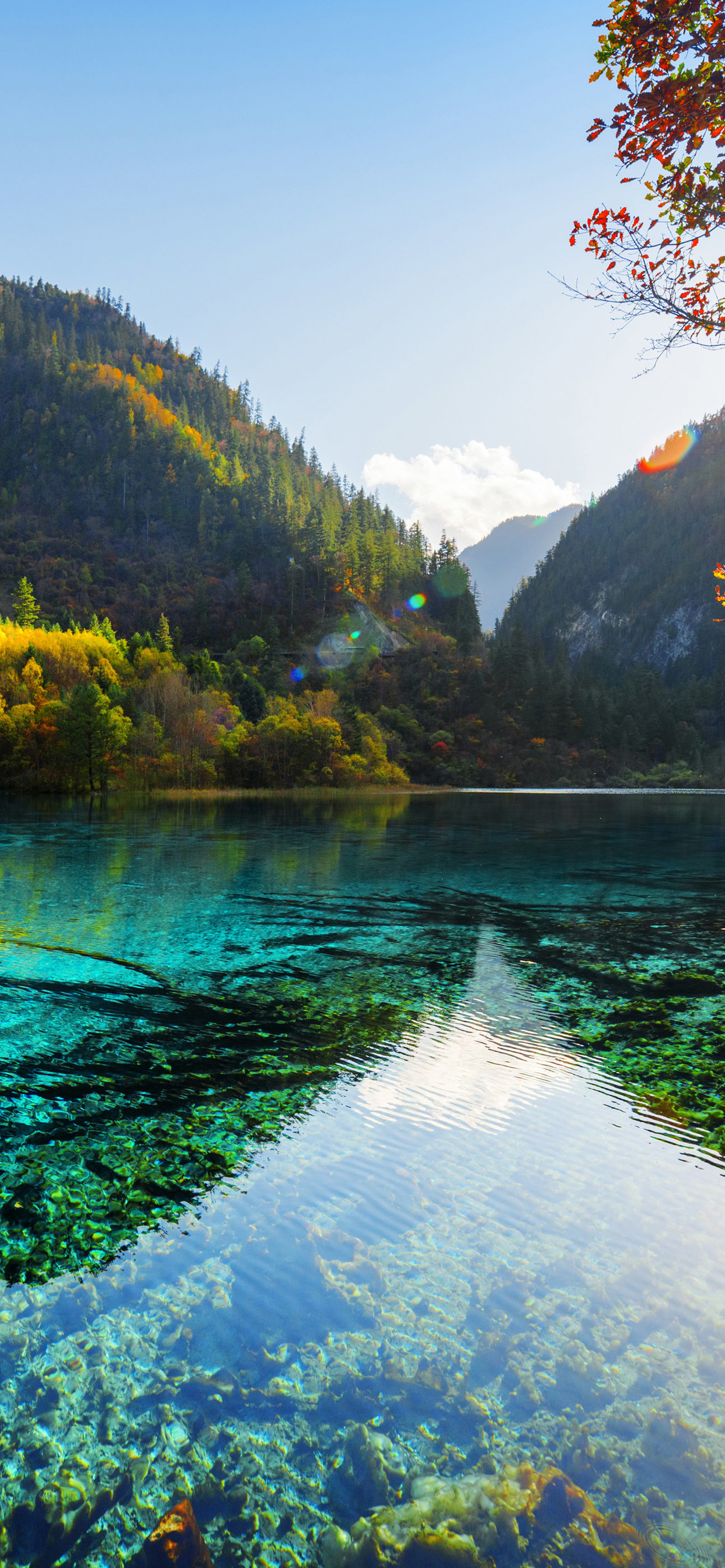 iPhone Xs Max 4k Wallpapers Wallpaper Cave