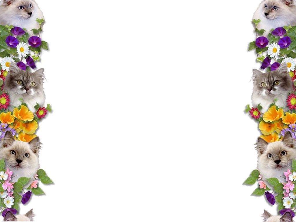 Borders Wallpapers Wallpaper Cave