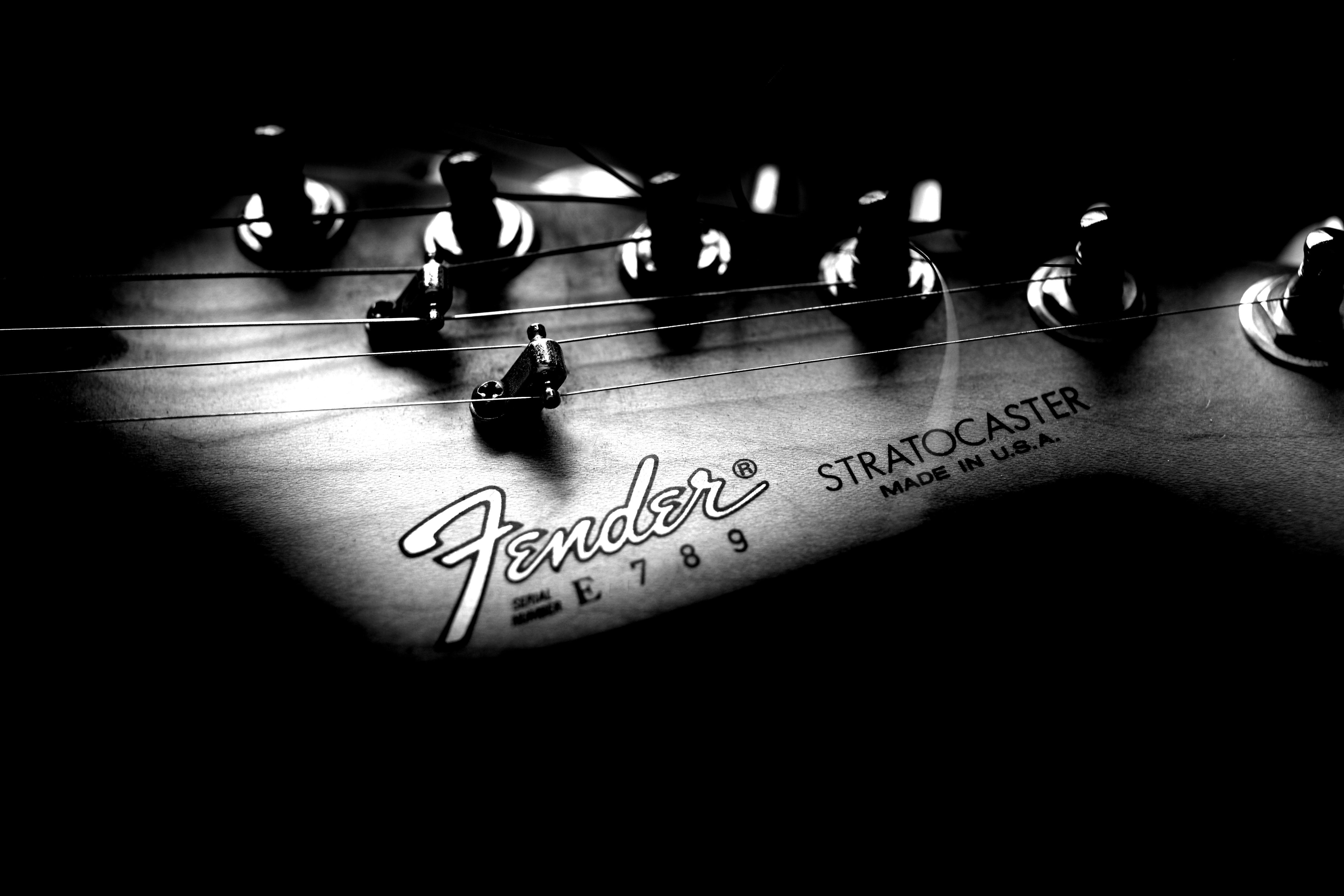 Fender Logo Wallpaper