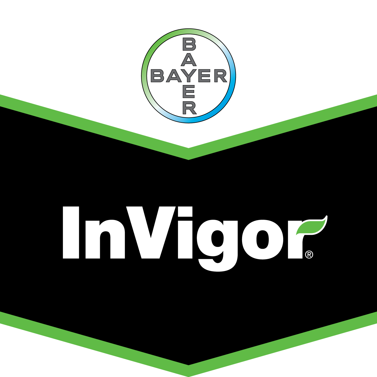 Bayer Company Wallpapers Wallpaper Cave