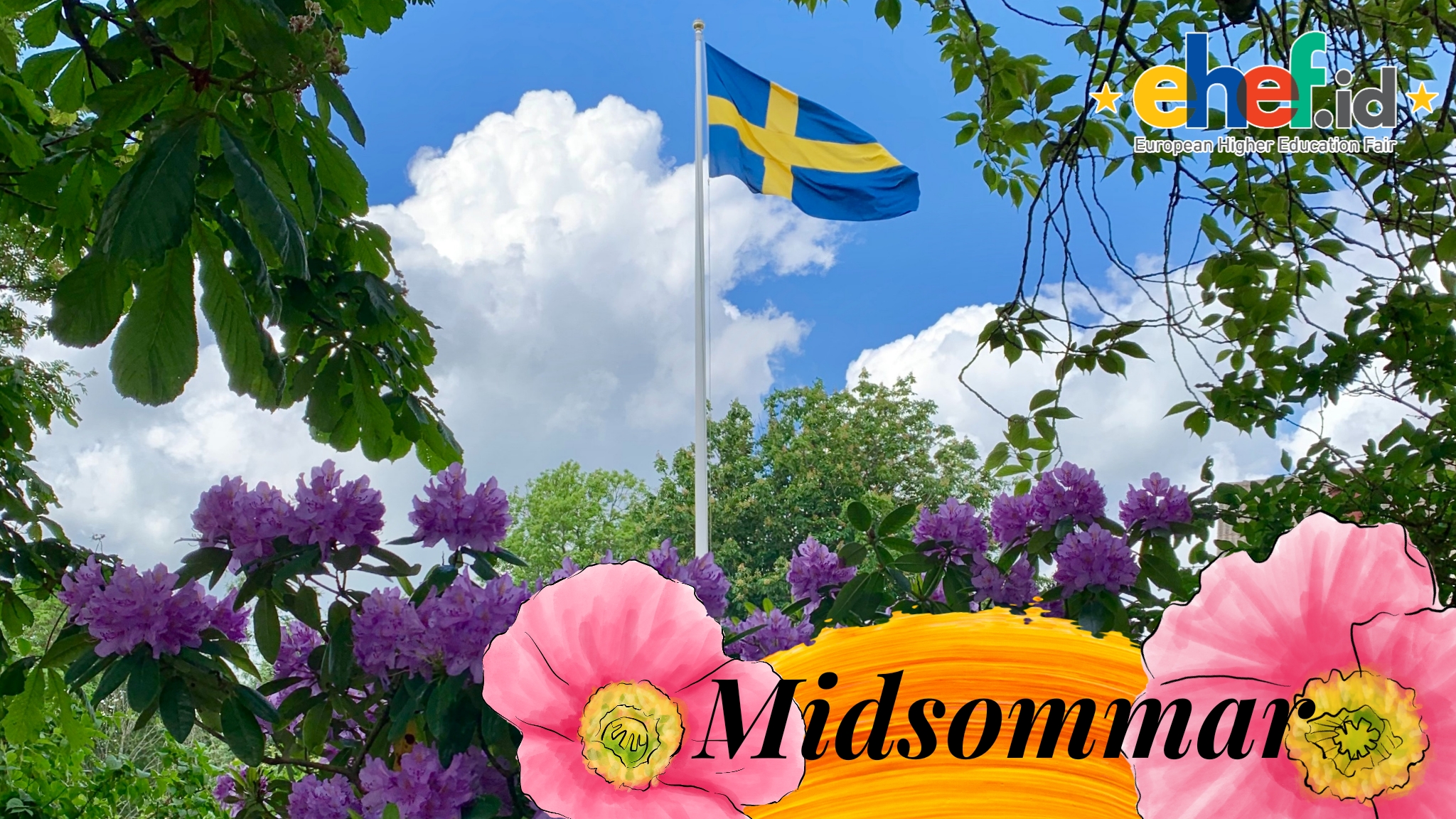 Midsommar Wallpapers Wallpaper Cave