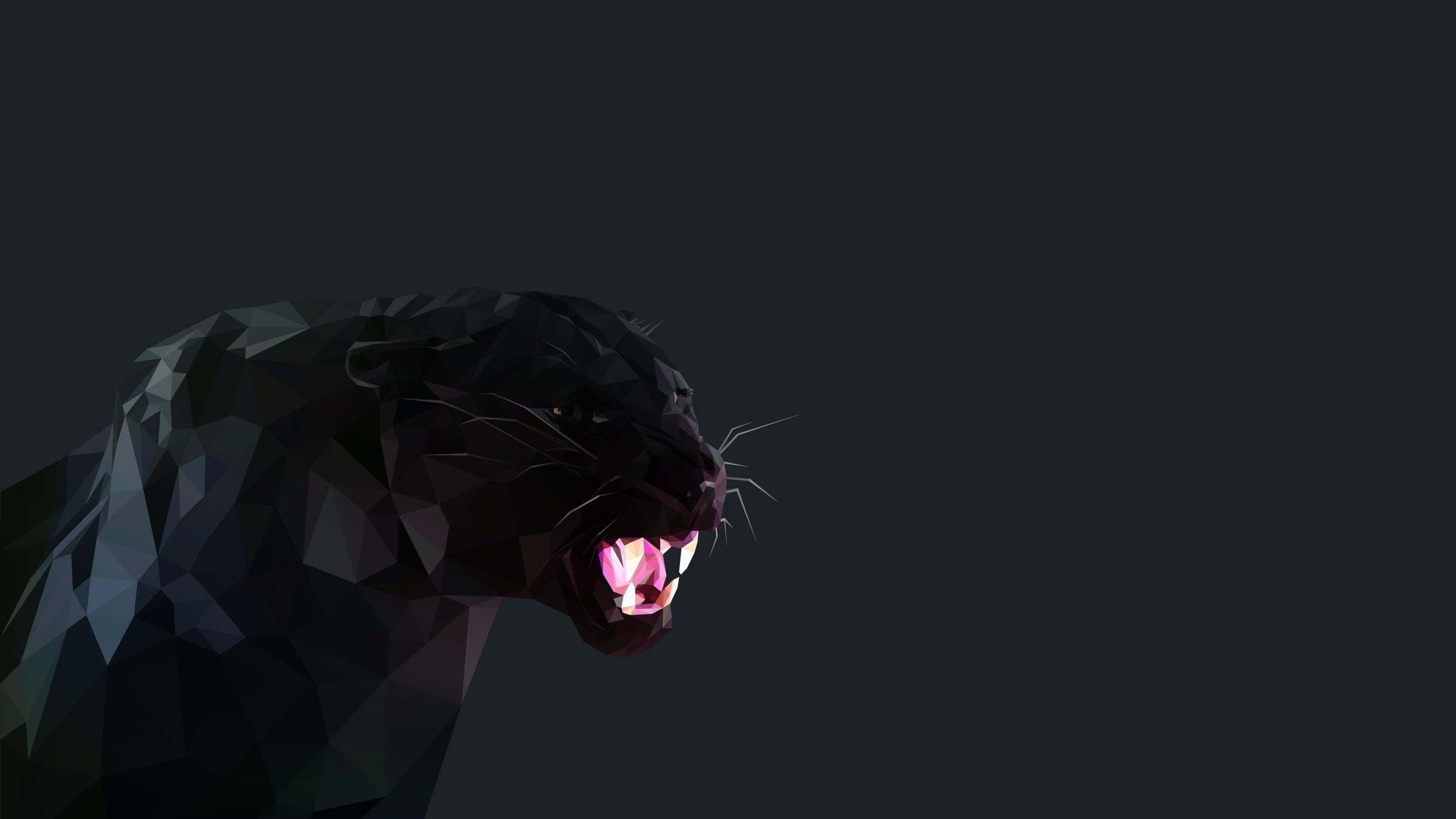 Black Panther Aesthetic Animal Wallpapers Wallpaper Cave