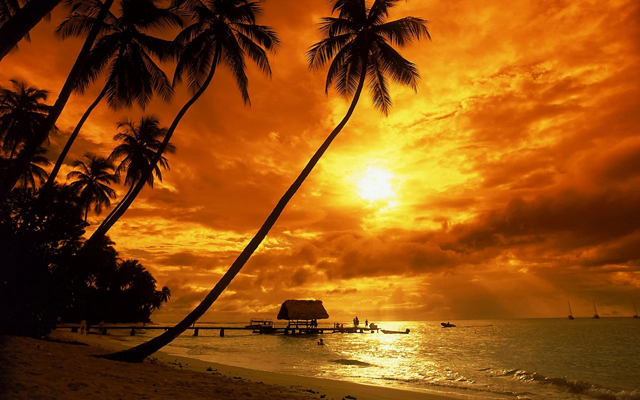 Tropical Beach Sunset Wallpapers Wallpaper Cave