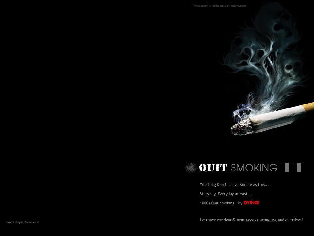 I Quit Wallpapers Wallpaper Cave