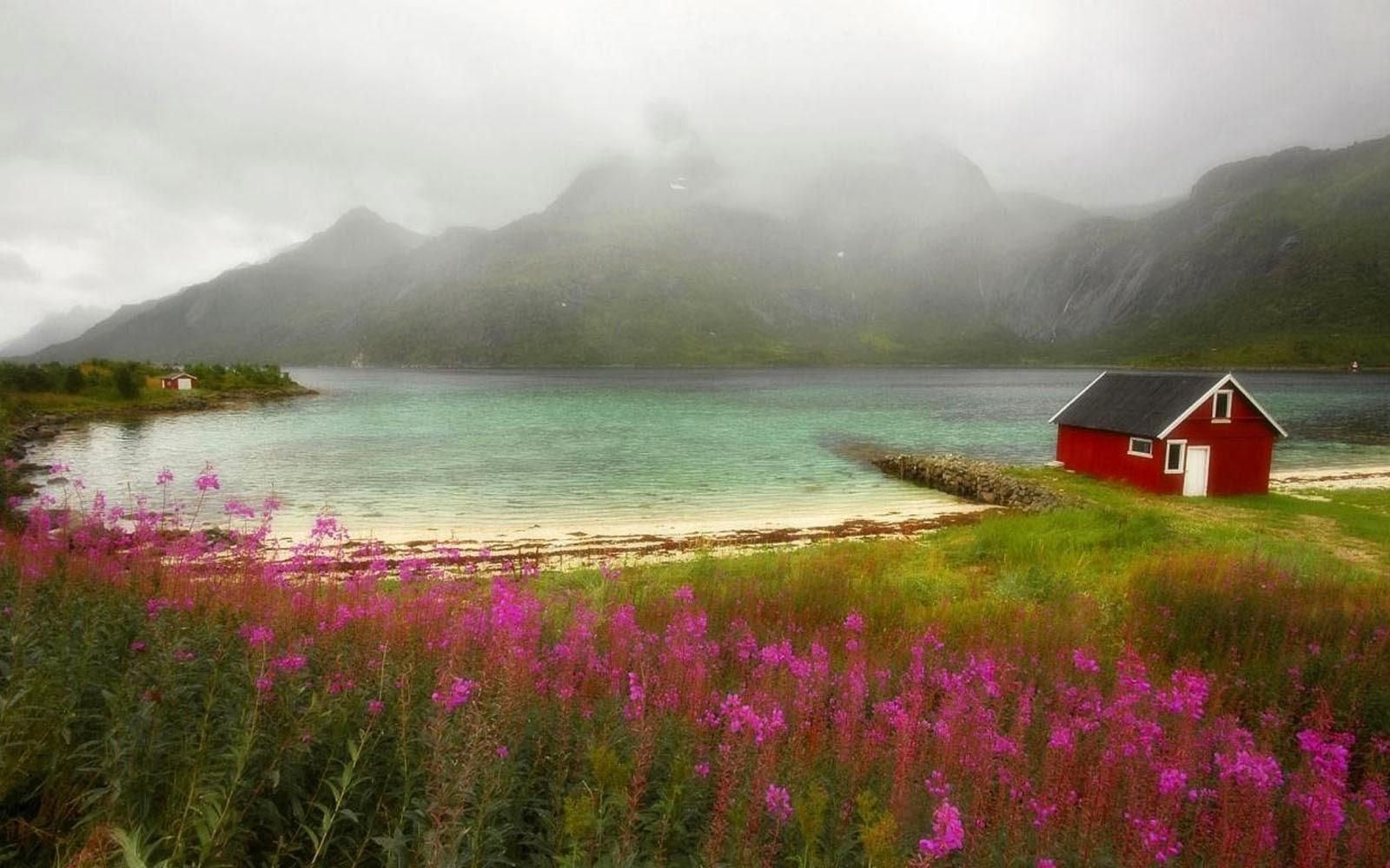 Small House Wallpapers Wallpaper Cave