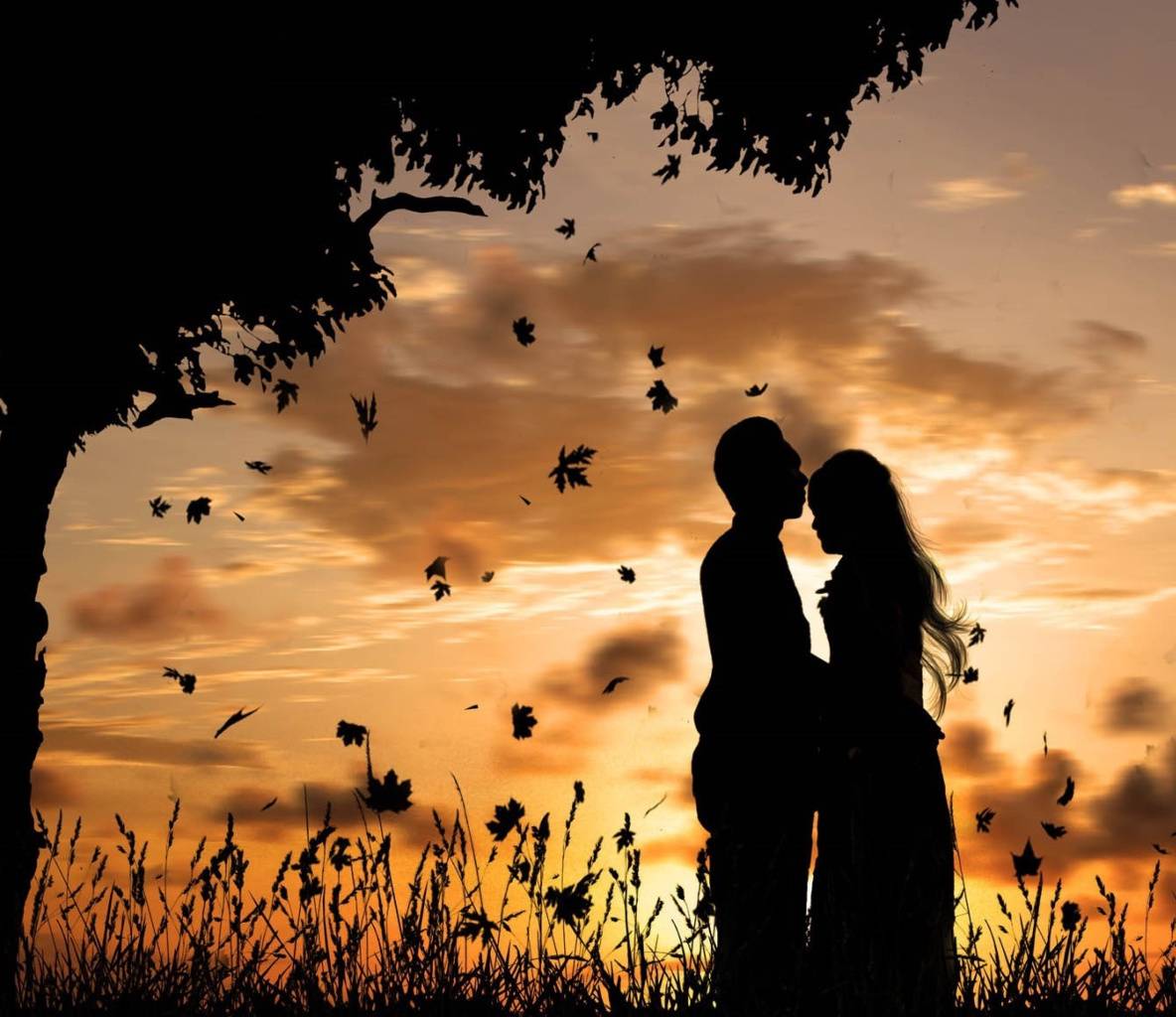 Romantic Couple Sunset Silhouette Wallpapers Wallpaper Cave