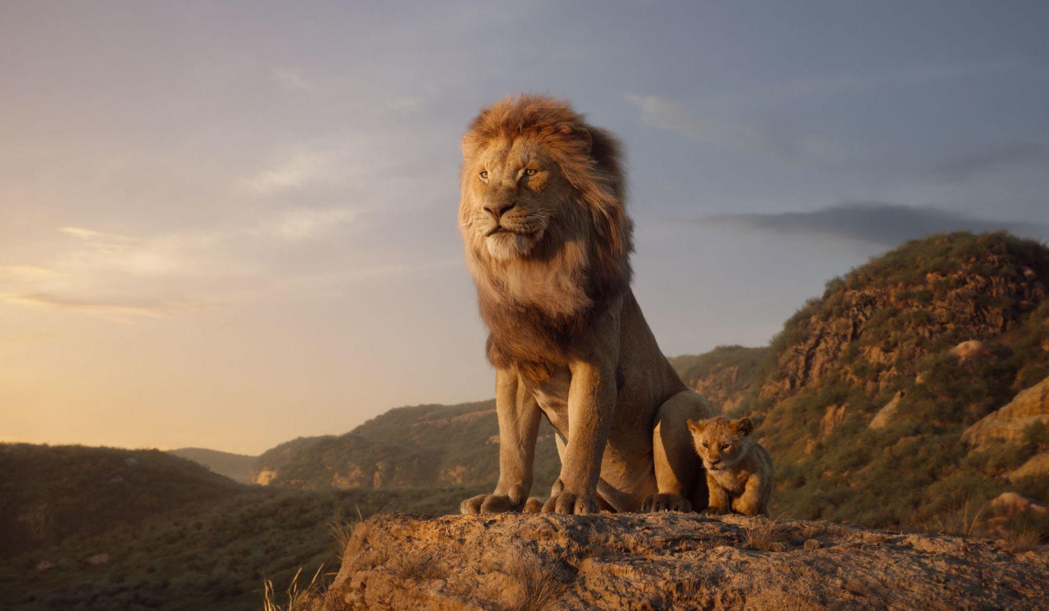 Lion King 2019 Wallpapers Wallpaper Cave
