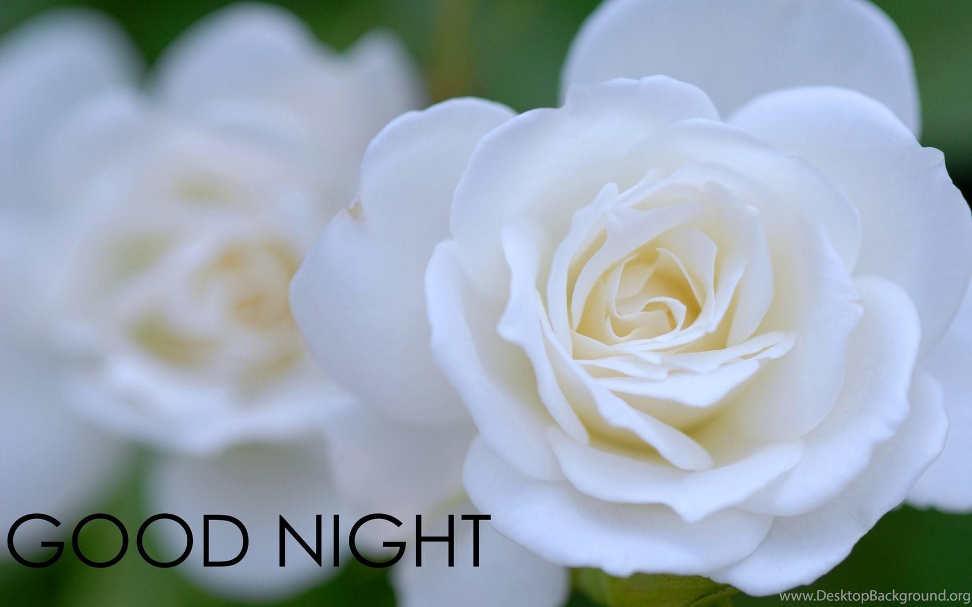 Good Night Wallpaper With Rose