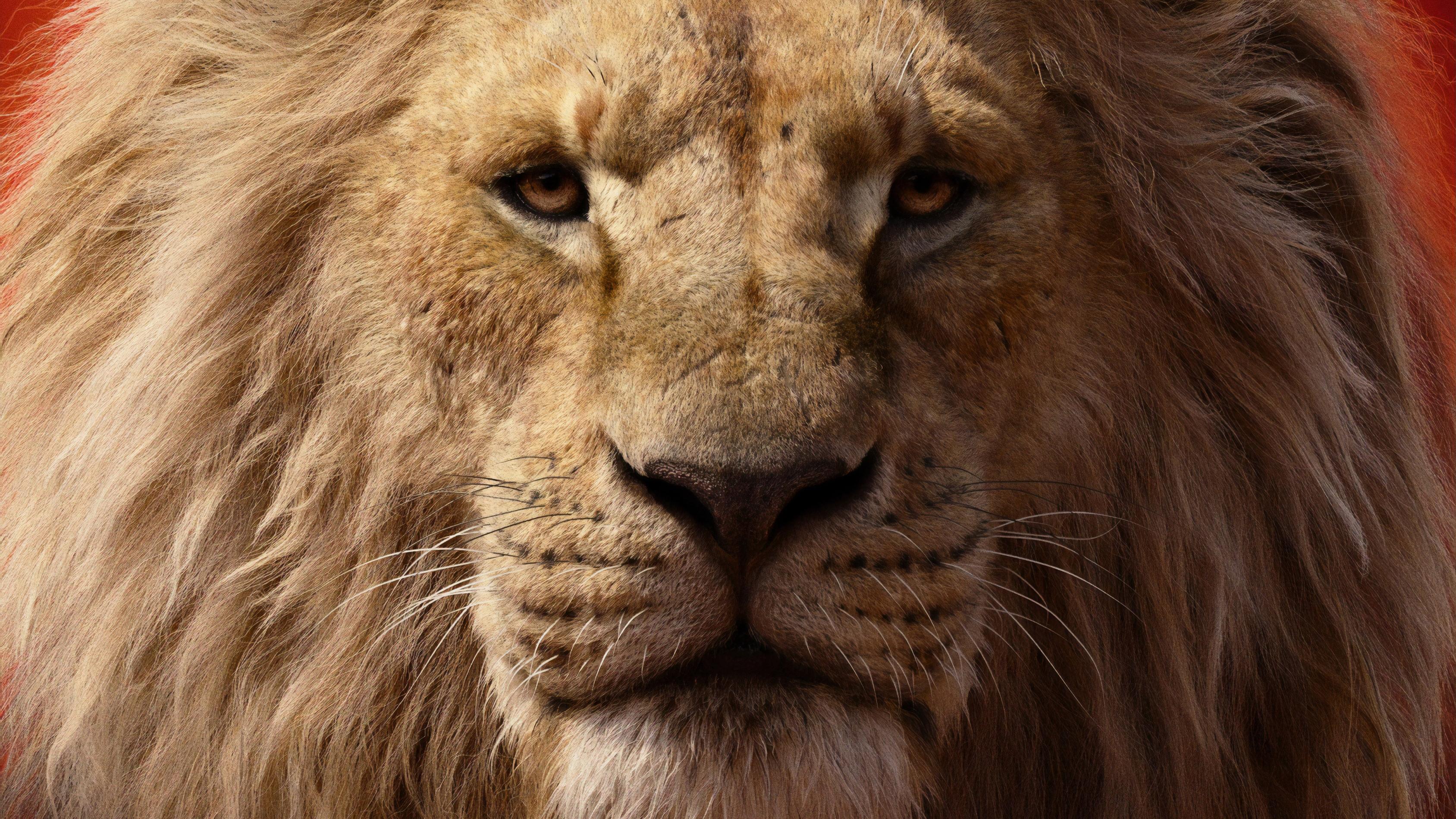 Lion King 2019 Wallpapers Wallpaper Cave