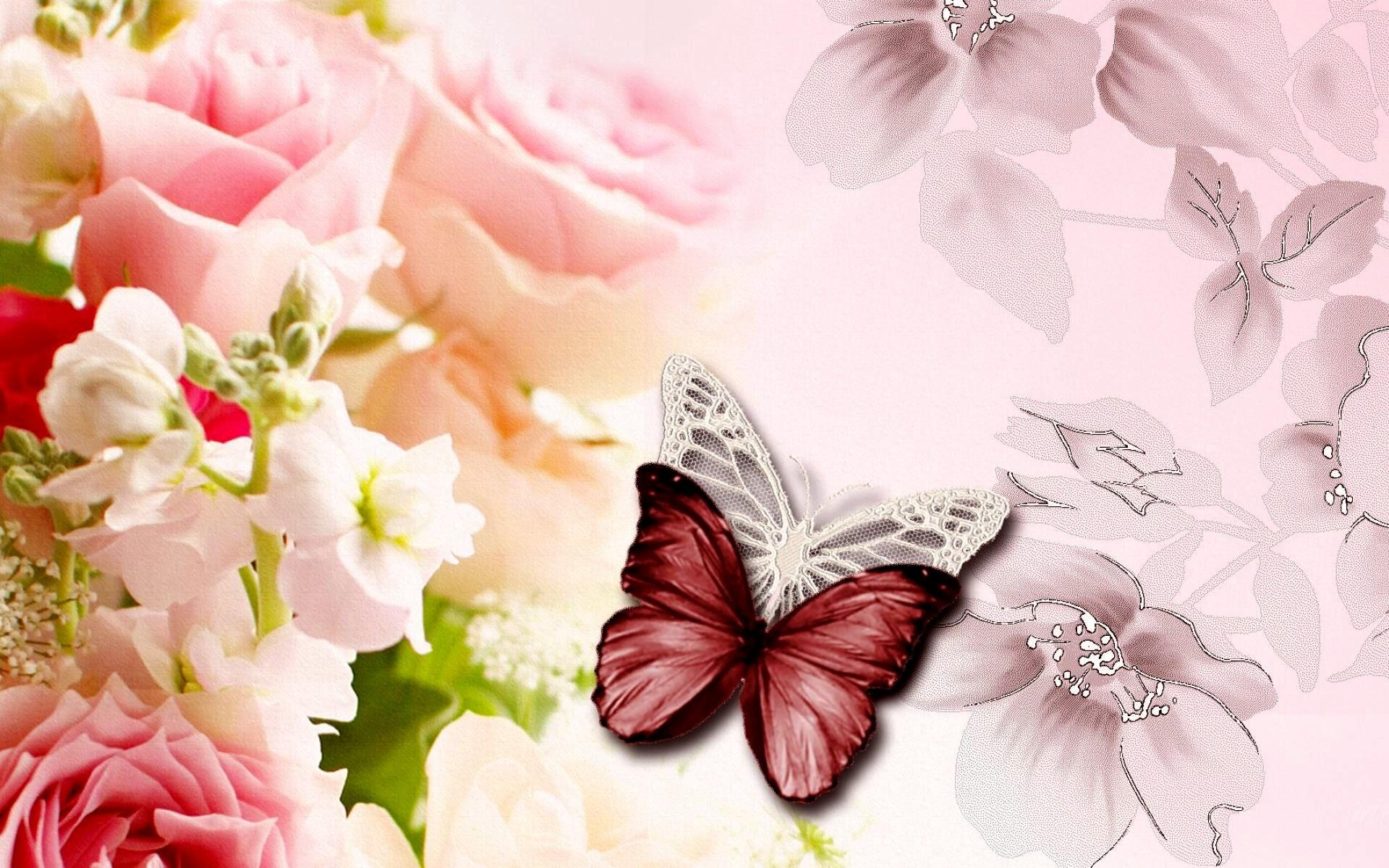 Butterfly Kisses Wallpapers Wallpaper Cave