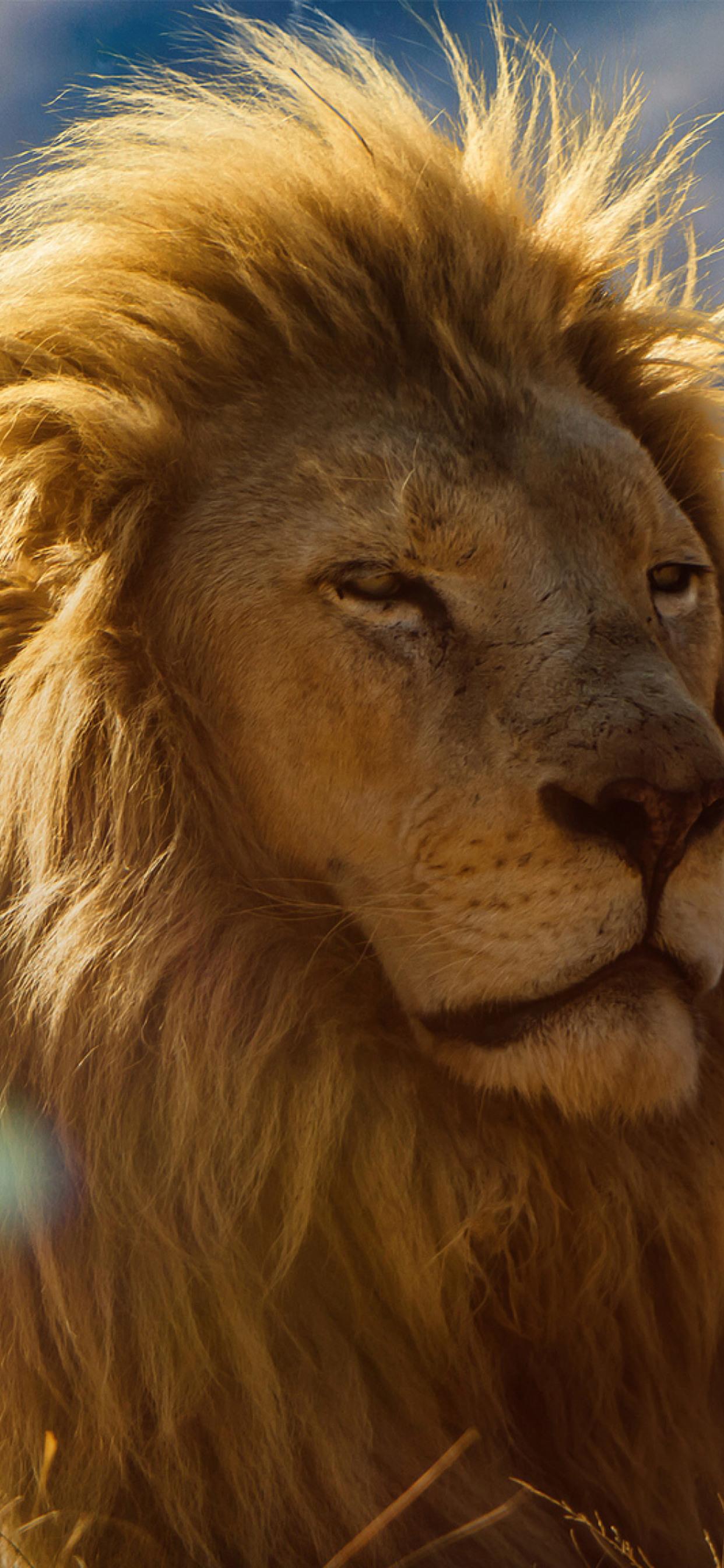 The Lion King 2019 Phone Wallpapers Wallpaper Cave