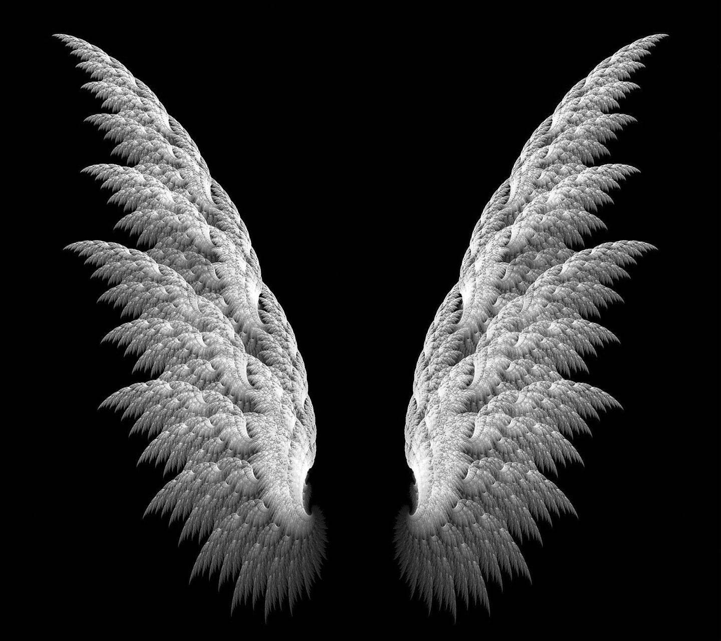 Angel Wings Wallpapers Wallpaper Cave