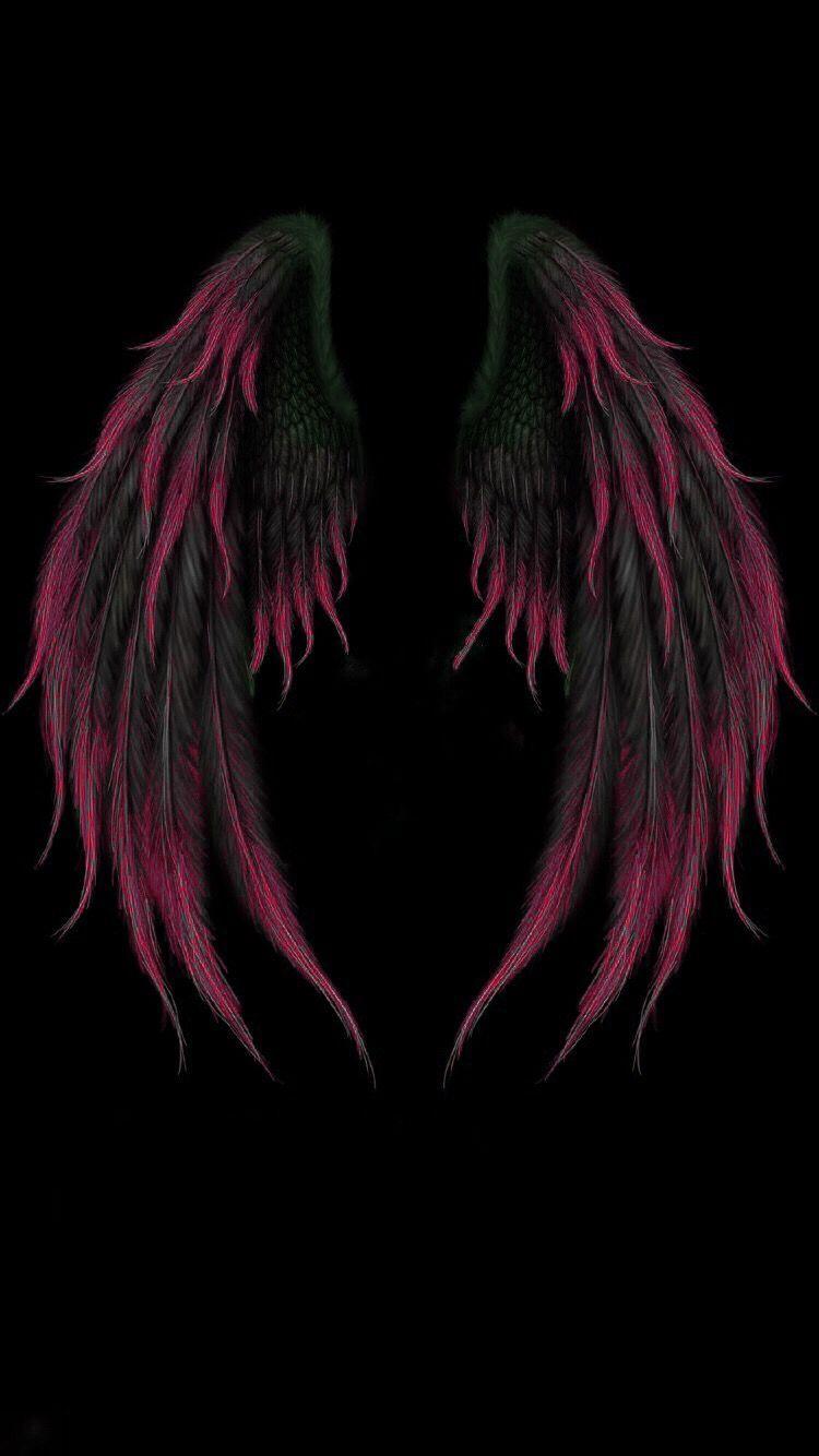 Black Wings Wallpapers Wallpaper Cave