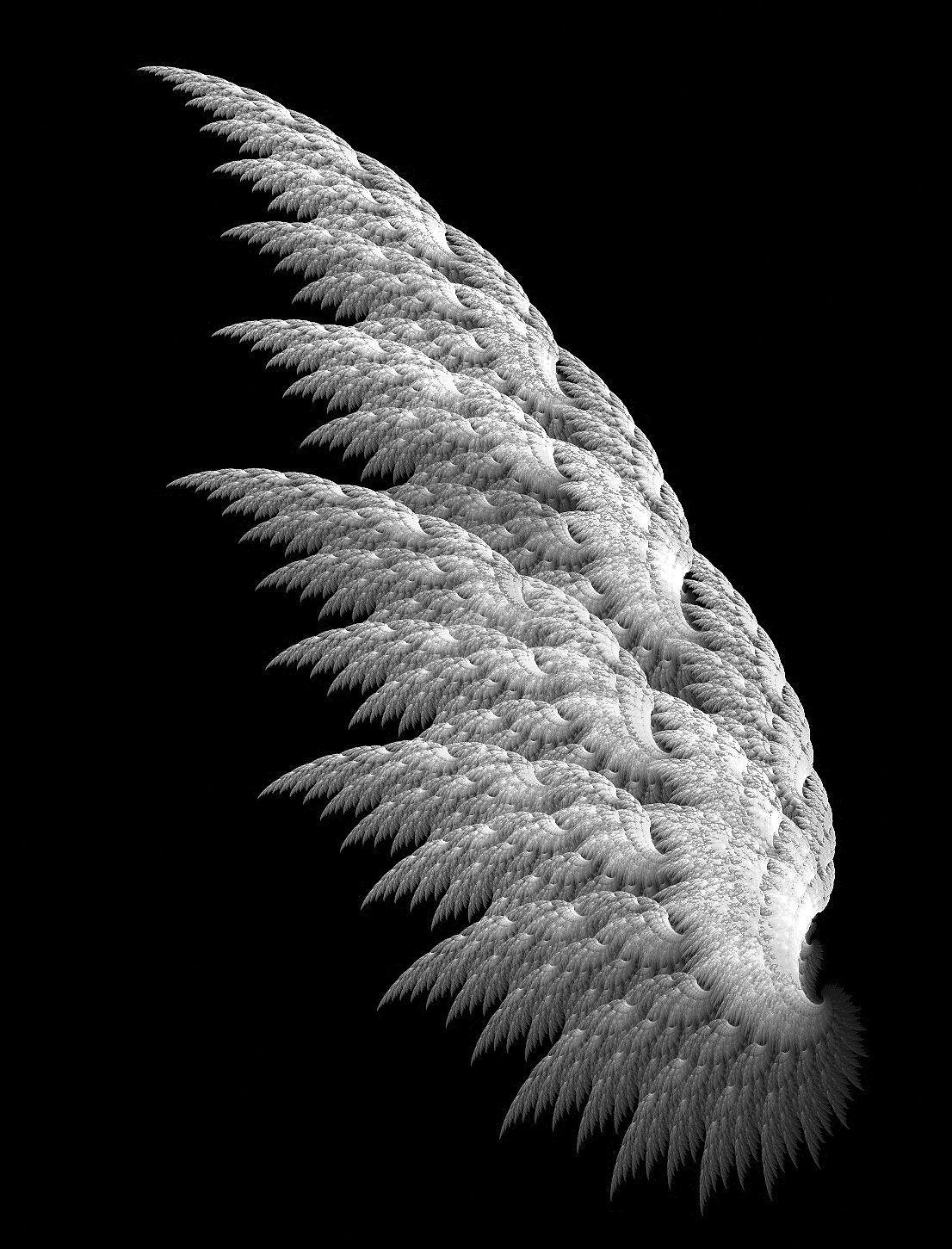 Angel Wings Wallpapers Wallpaper Cave
