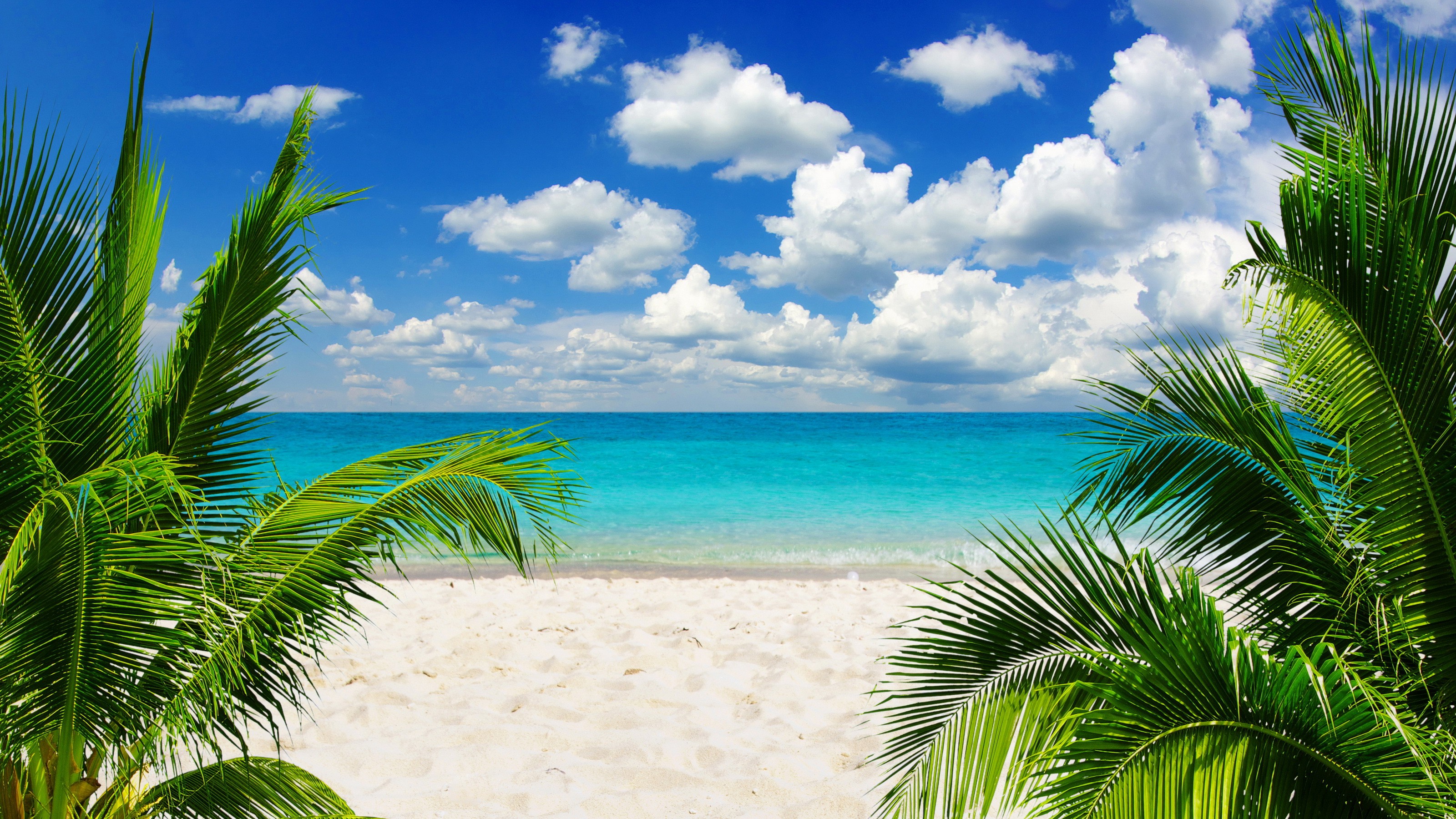 Tropical Paradise Wallpapers Wallpaper Cave