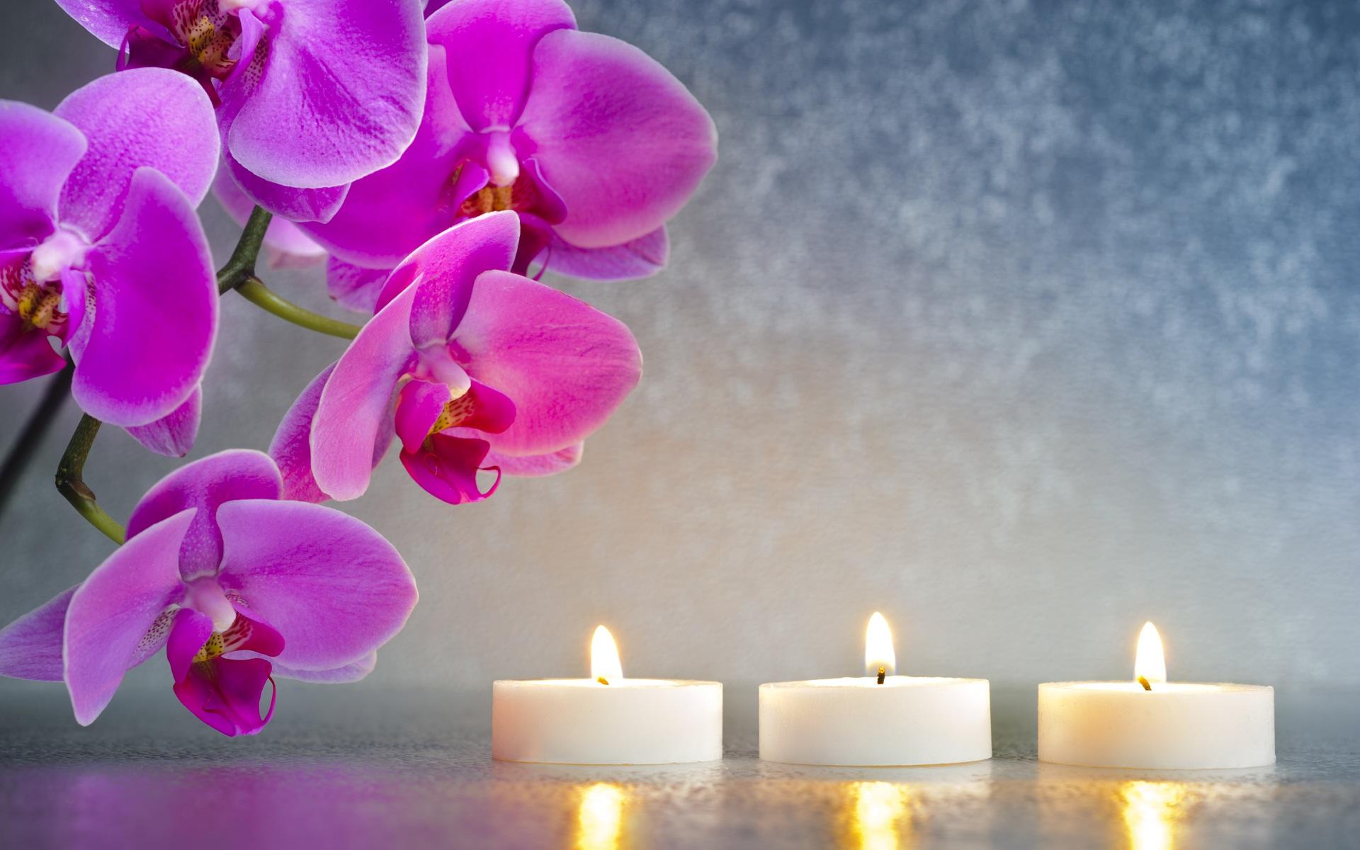 Flowers And Candle Lights Wallpapers Wallpaper Cave