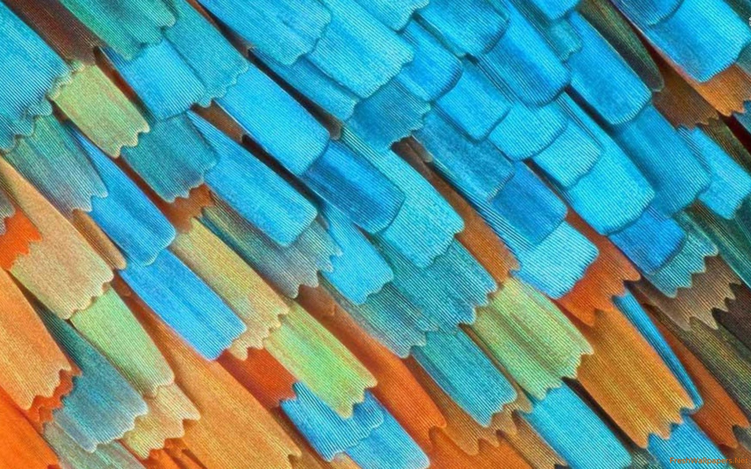 Brush Wallpapers Wallpaper Cave