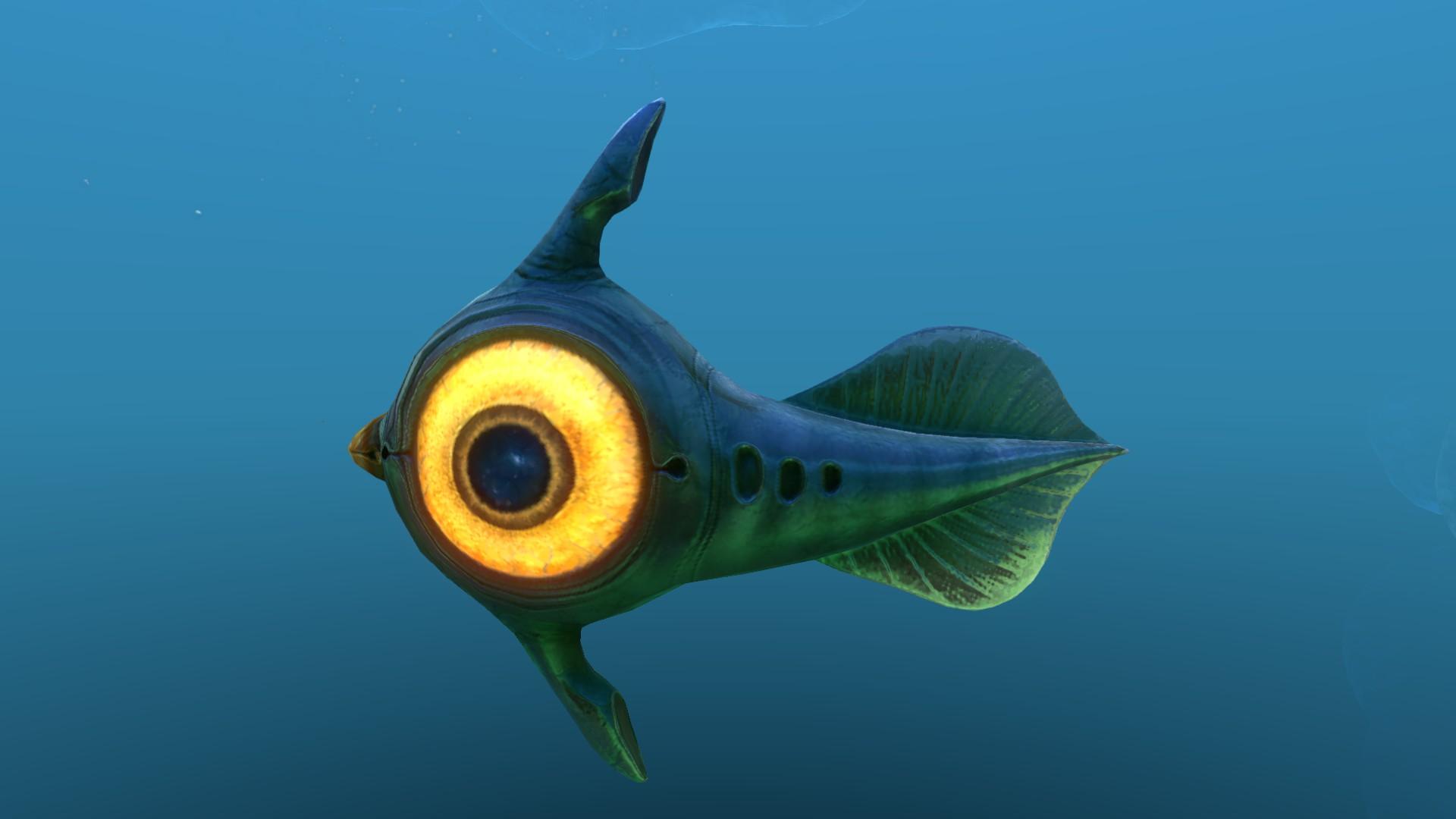 Peeper Wallpapers Wallpaper Cave