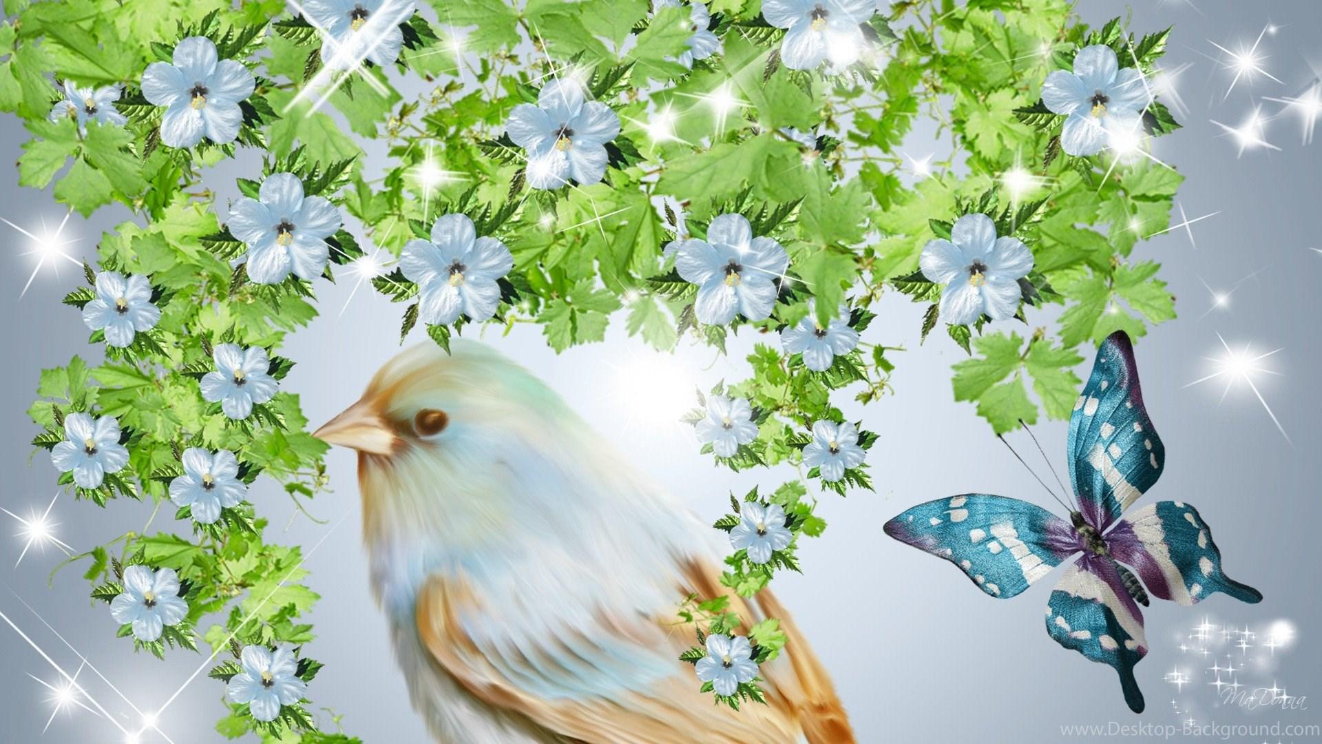 Birds And Butterflies Wallpapers Wallpaper Cave
