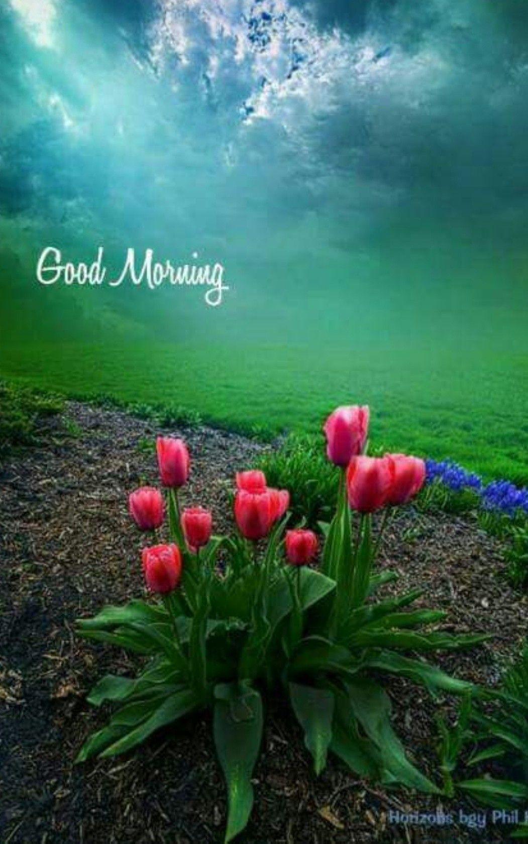 Nature Good Morning Wallpapers Wallpaper Cave