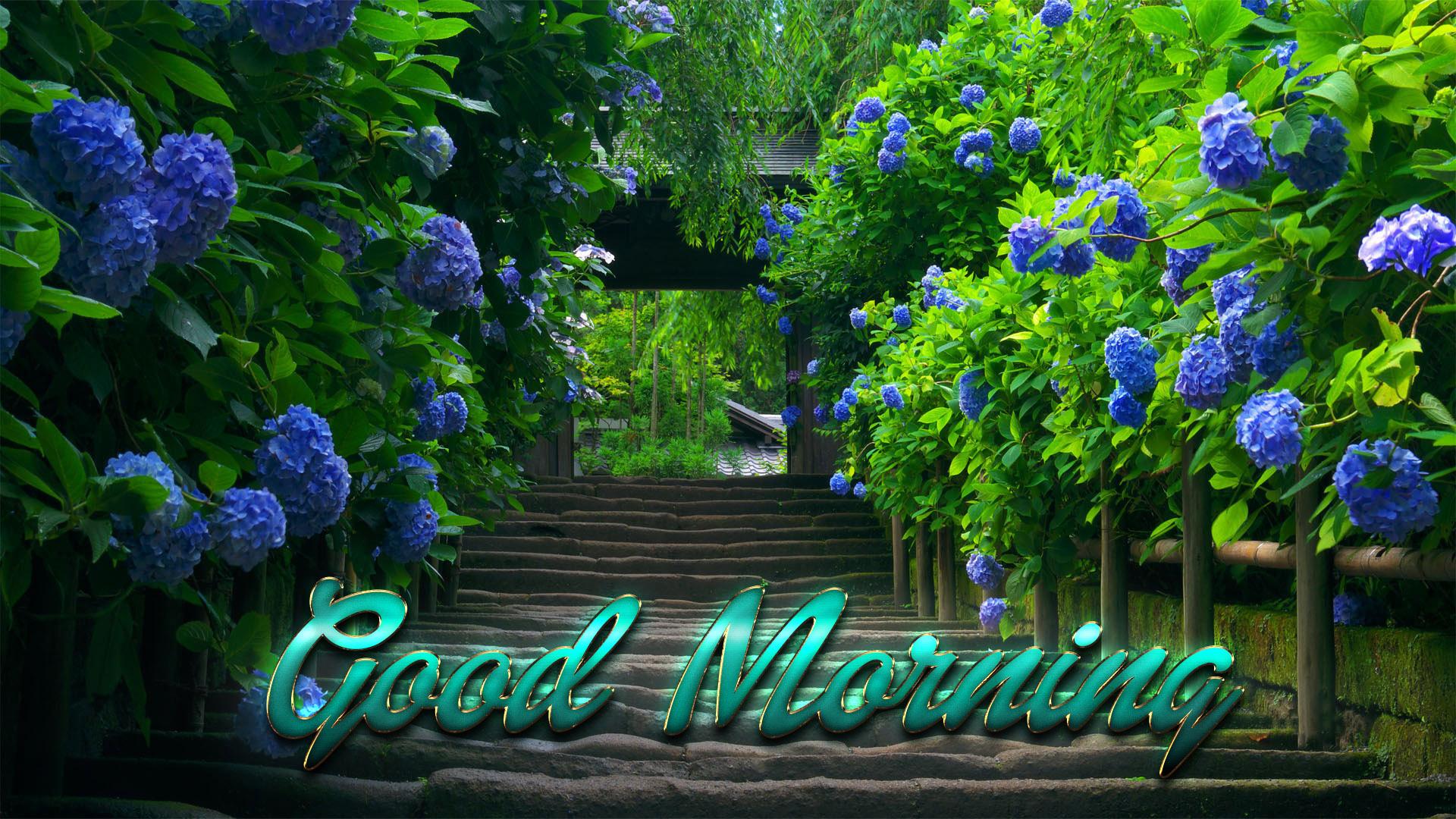 Nature Good Morning Wallpapers Wallpaper Cave