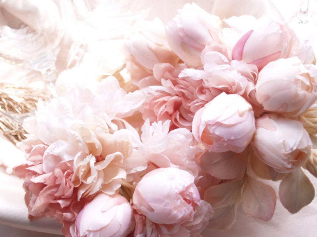 Light Pink Peonies Bouquet Wallpapers Wallpaper Cave