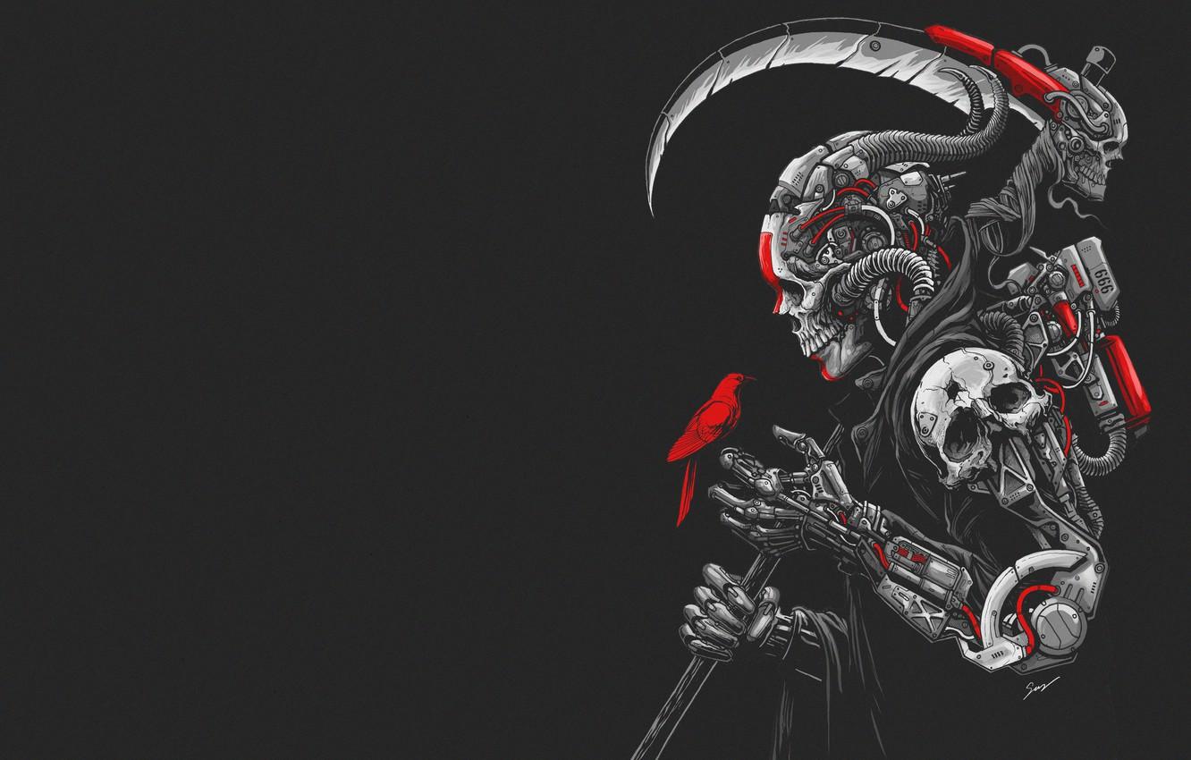 Skull Wallpapers Wallpaper Cave