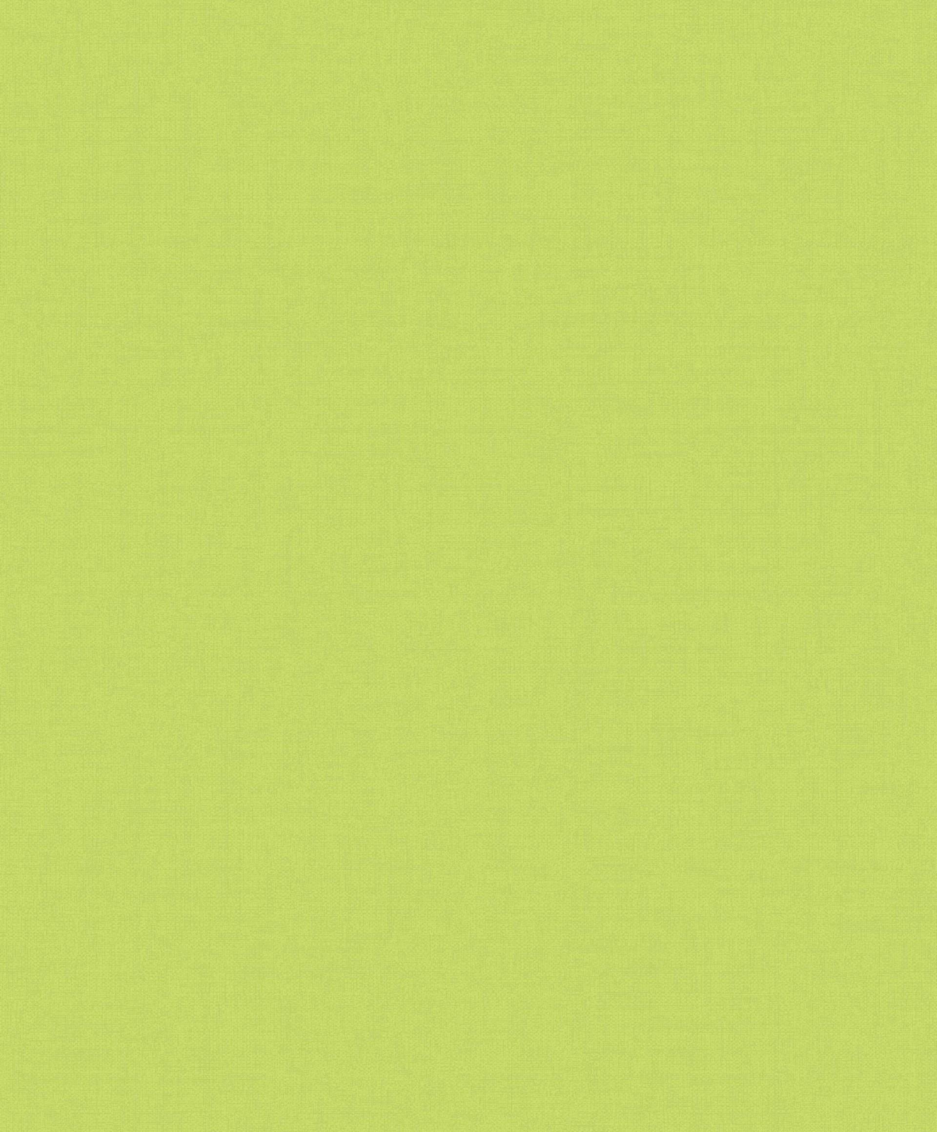 Plain Green Wallpapers Wallpaper Cave