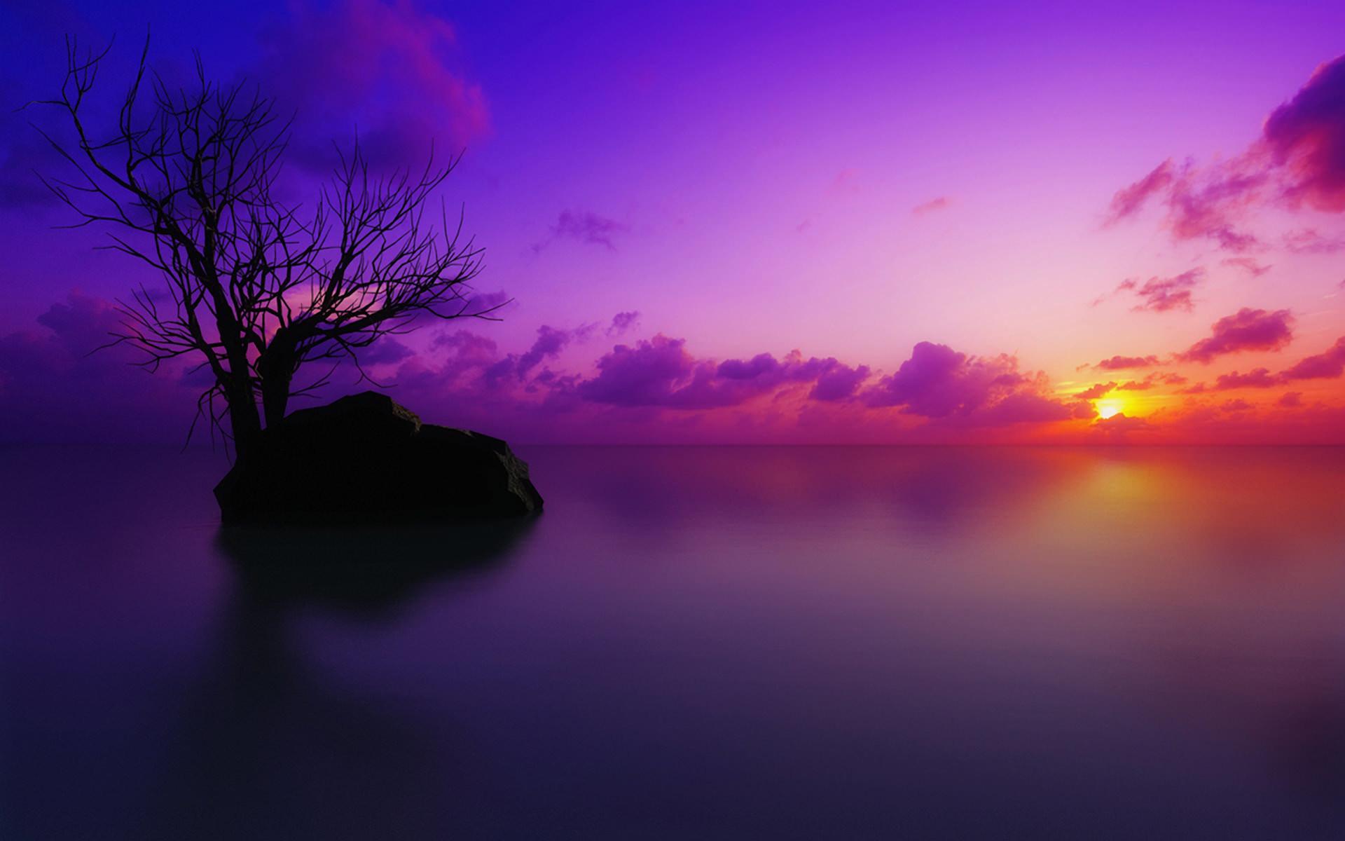 Purple Horizon Landscape Wallpapers Wallpaper Cave
