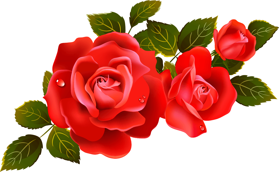 Rose Flowers Art Images Best Flower Site