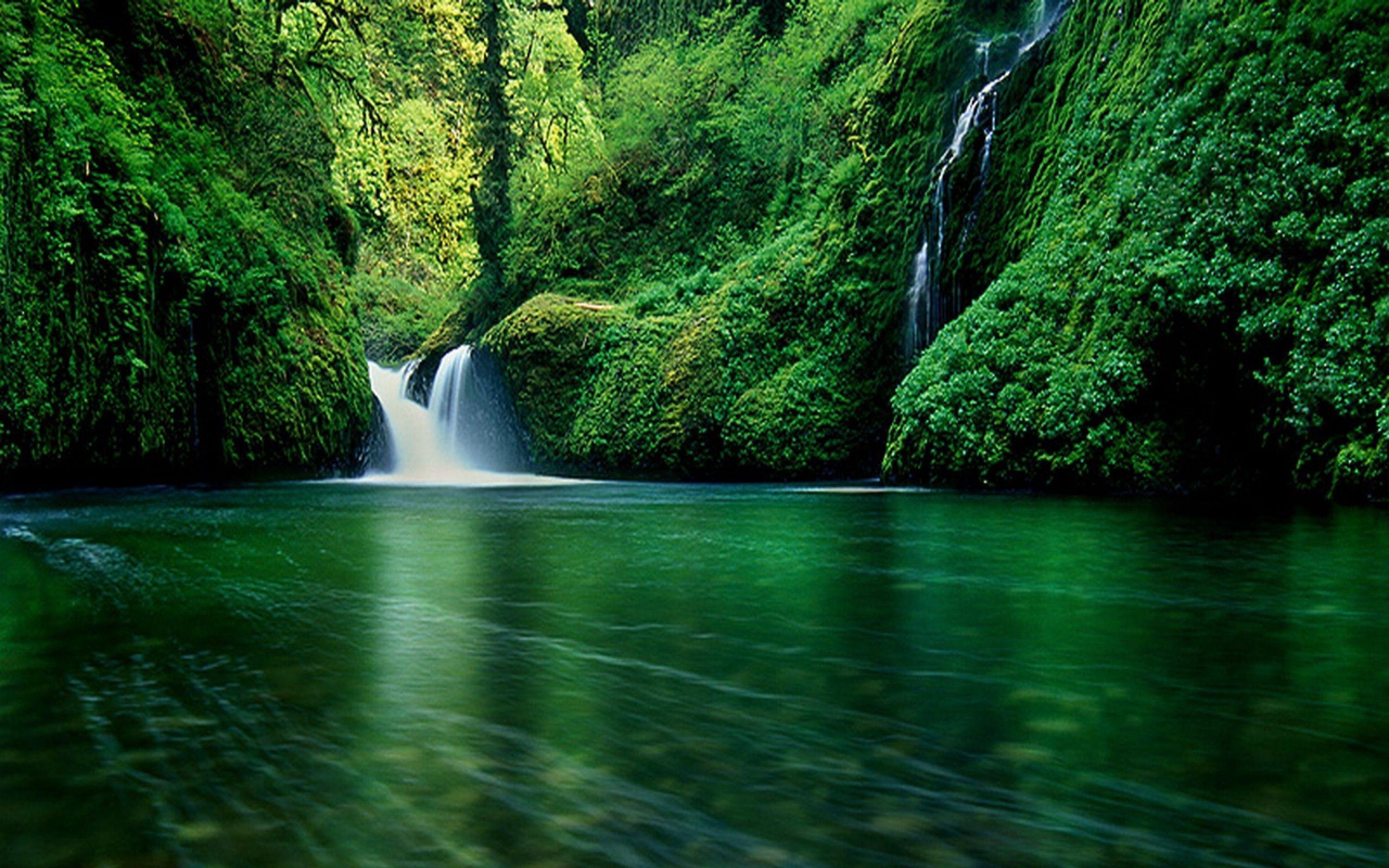 Water Cascades In Paradise Wallpapers Wallpaper Cave