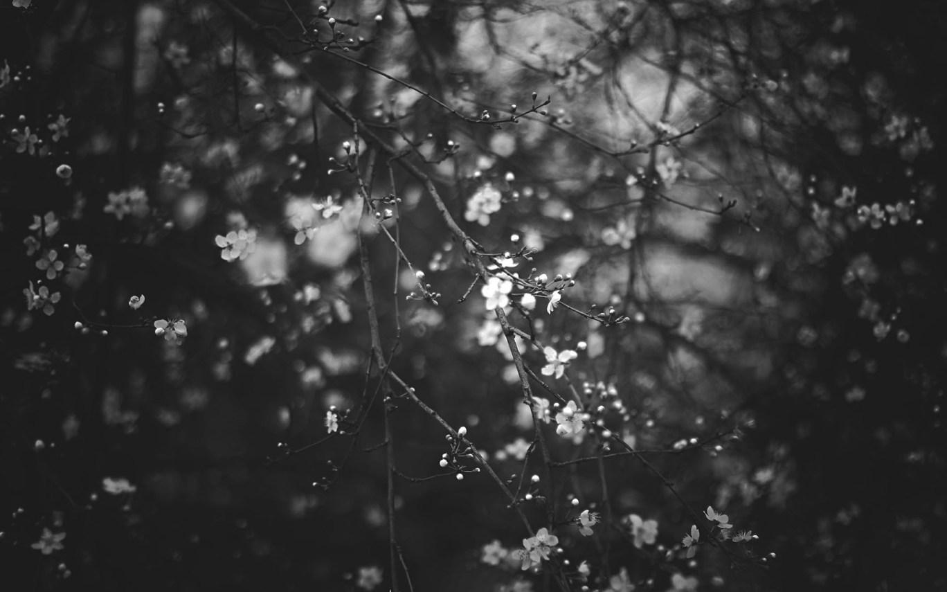 Sad Tumblr Wallpapers Wallpaper Cave