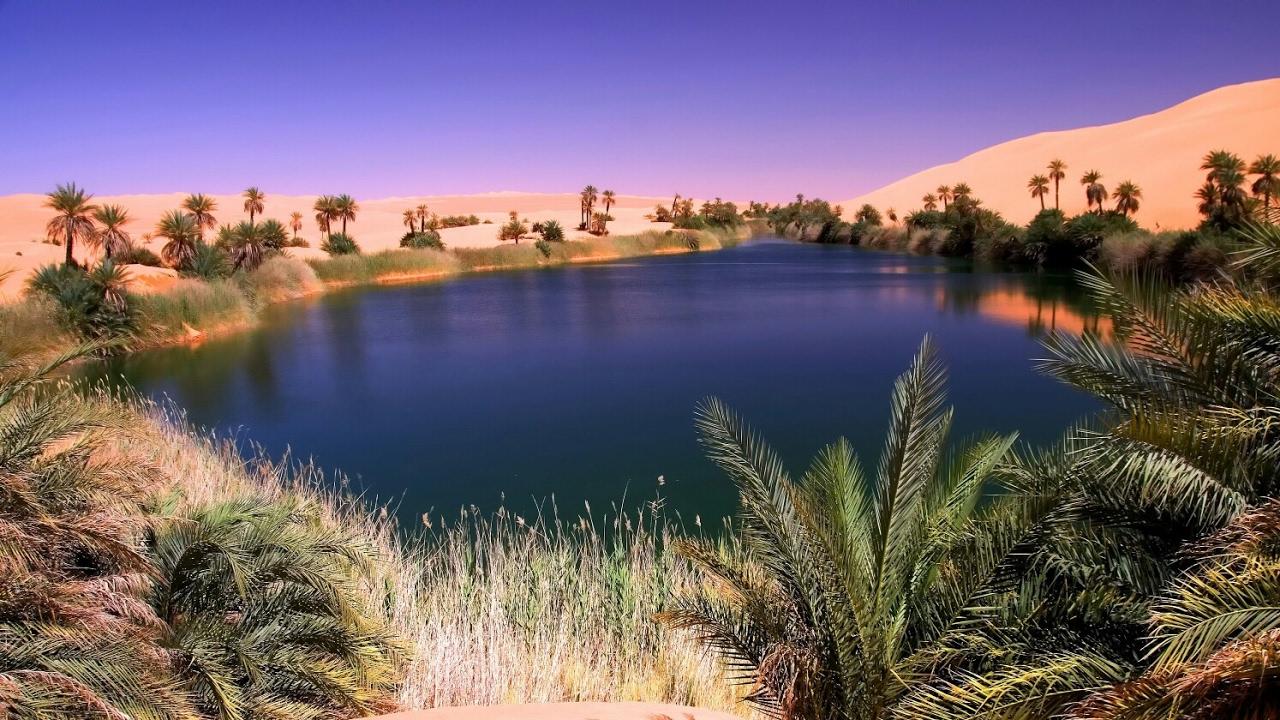Desert Oasis Wallpapers Wallpaper Cave