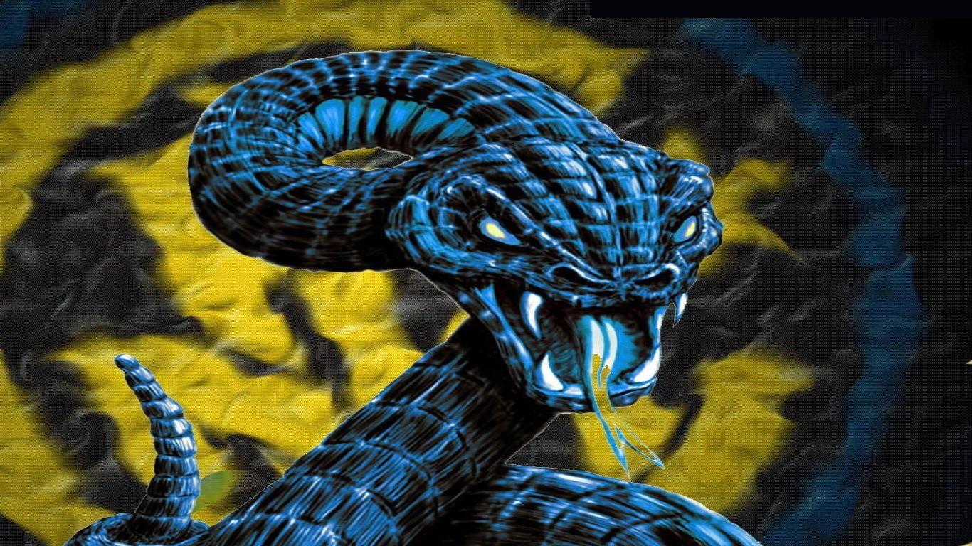 Venomous Snakes Wallpapers Wallpaper Cave