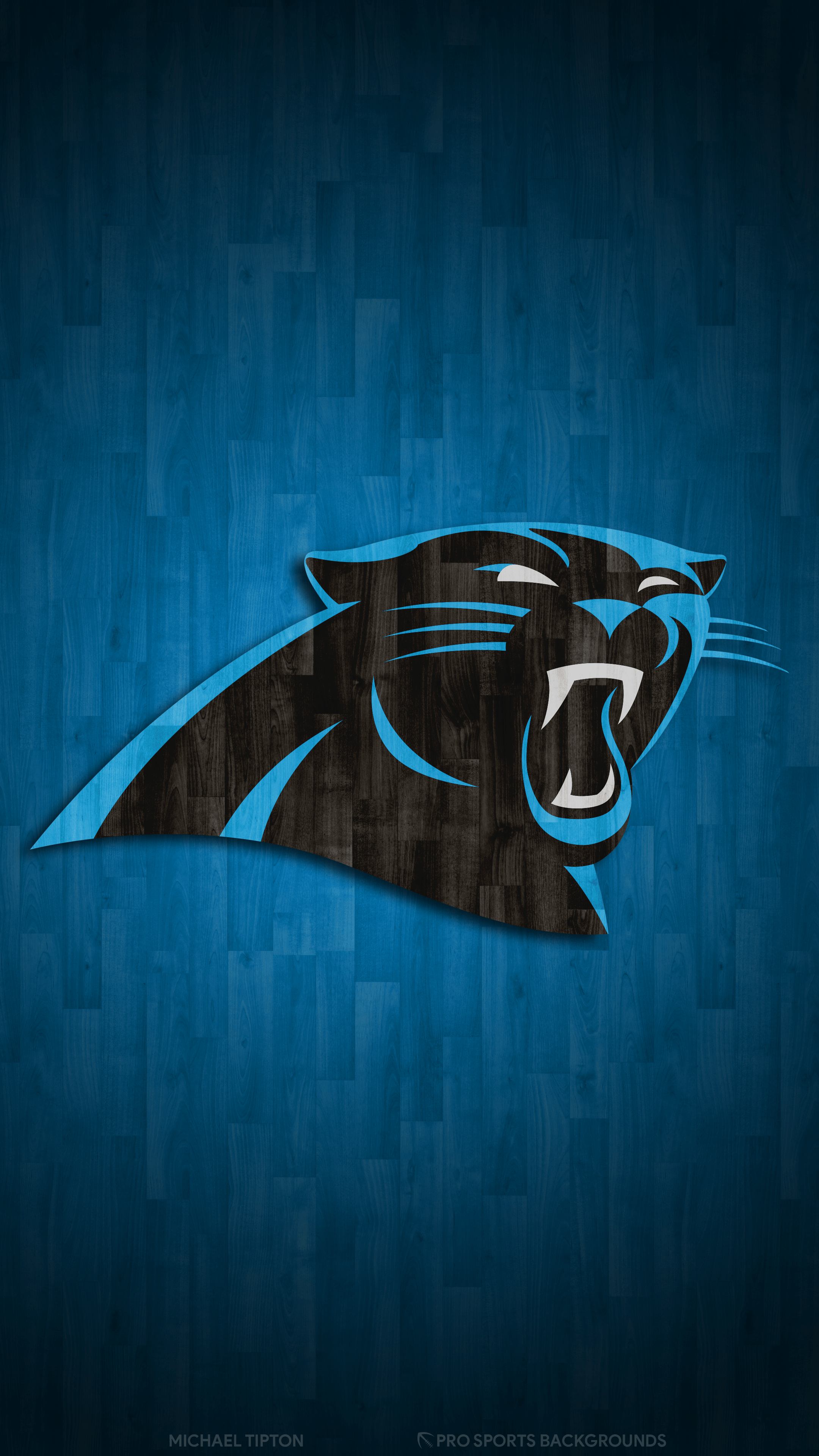 Carolina Panthers 2019 Wallpapers Wallpaper Cave