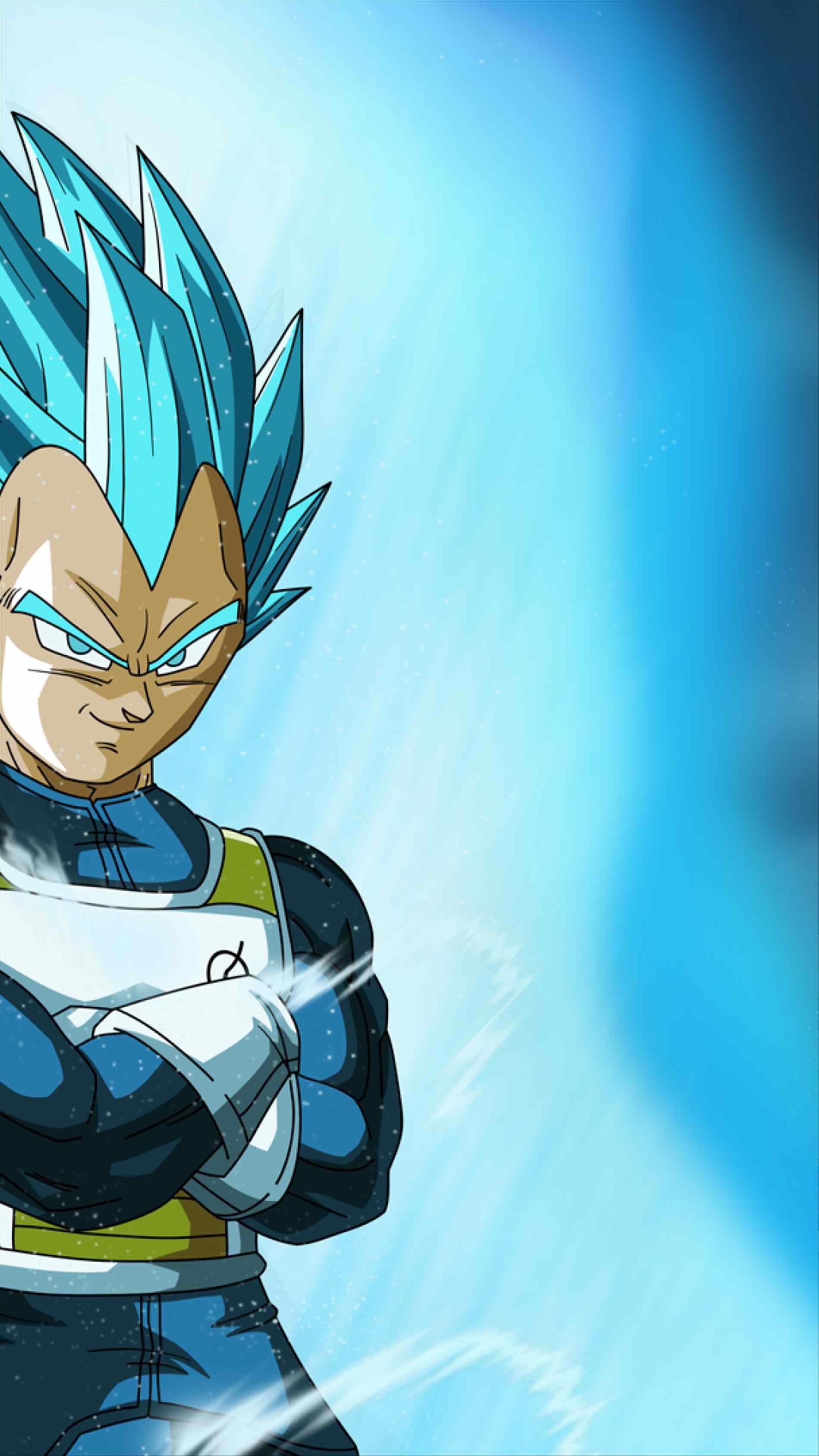 Vegeta Super Saiyan Blue Evolution Wallpapers Wallpaper Cave